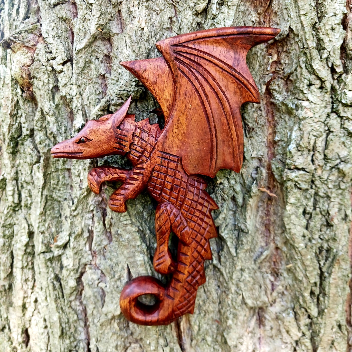 This intricately carved Dragon plaque sit flush against the wall or can be hooked onto pots or some other items in the home. These Dragons are hand carved with metal hook for hanging if you choose. In early cultures, the dragons were often seen as mighty serpents and beasts that were either extremely benevolent or fearsome and difficult to kill. The beliefs of a region are often influenced by geographical location. Eastern cultures often saw dragons as a knowledgeable deity that had power over storms