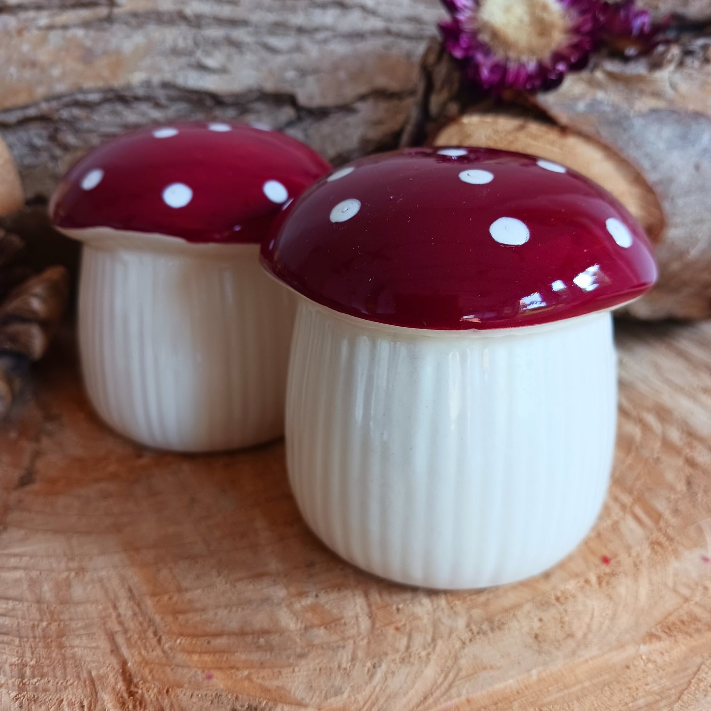 Make every meal feel like an enchanted feast with these cute and quirky mushroom shaped salt and pepper shakers. A perfect gift for lovers of all things fungi, or for anyone who wants to fill their home with extraordinary and unique pieces.