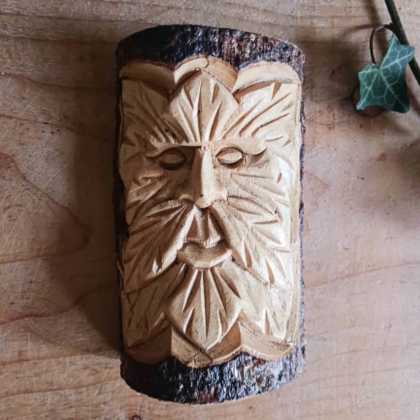 This wonderfully unique and beautifully designed tree stump log carving features the Tree Spirit 'Man of the Wood' face and is fashioned from the trunks of Chinaberry (Jempinis) and Hibiscus trunks off cuts.