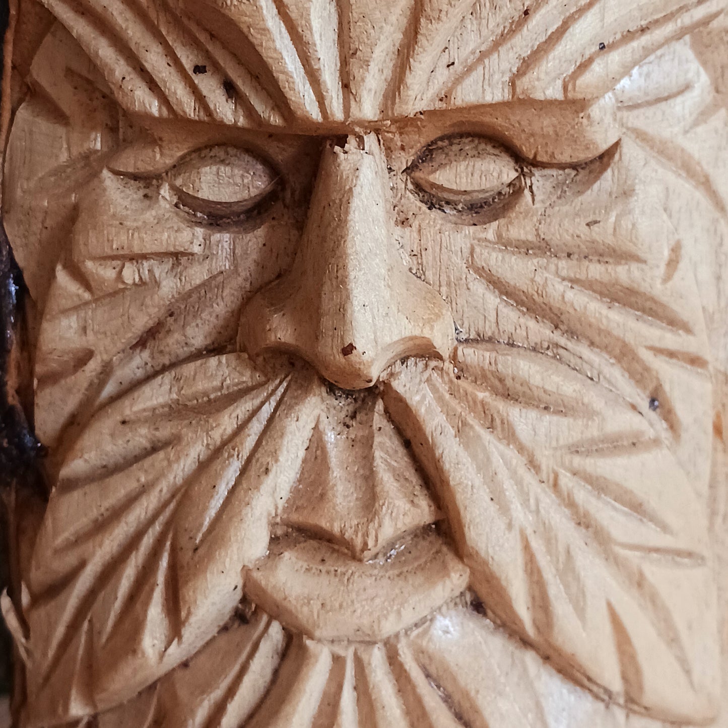 This wonderfully unique and beautifully designed tree stump log carving features the Tree Spirit 'Man of the Wood' face and is fashioned from the trunks of Chinaberry (Jempinis) and Hibiscus trunks off cuts.