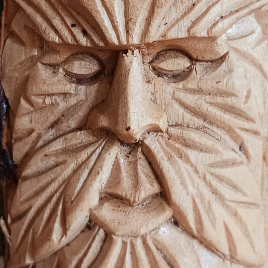 This wonderfully unique and beautifully designed tree stump log carving features the Tree Spirit 'Man of the Wood' face and is fashioned from the trunks of Chinaberry (Jempinis) and Hibiscus trunks off cuts.