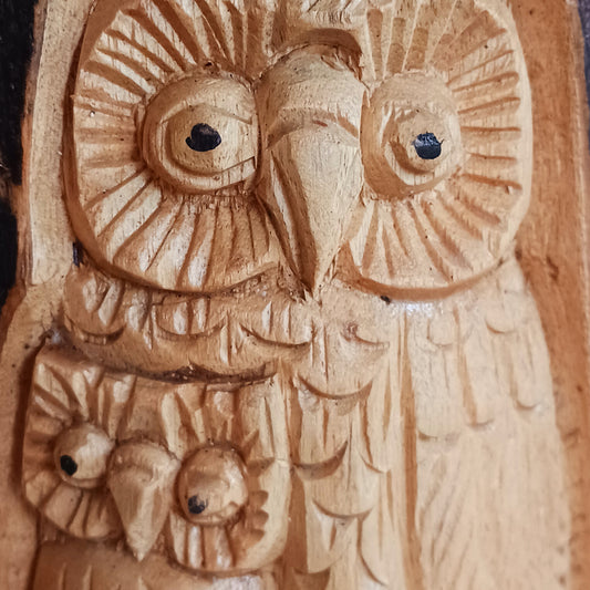 This wonderfully unique and beautifully designed tree stump log carving features a mother and baby owl and is fashioned from the trunks of Chinaberry (Jempinis) and Hibiscus trunks off cuts.