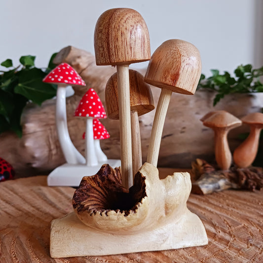 These little ovate capped mushrooms have been carefully carved in white wood to fit perfectly into this fascinating wood rose formation. The unique mushroom-like structures sometimes called "wood roses" are the result of a parasitic mistletoe plant that grows on trees in Bali, commonly the chinaberry tree. The parasite vine often destroys the branches or the whole tree if not removed.