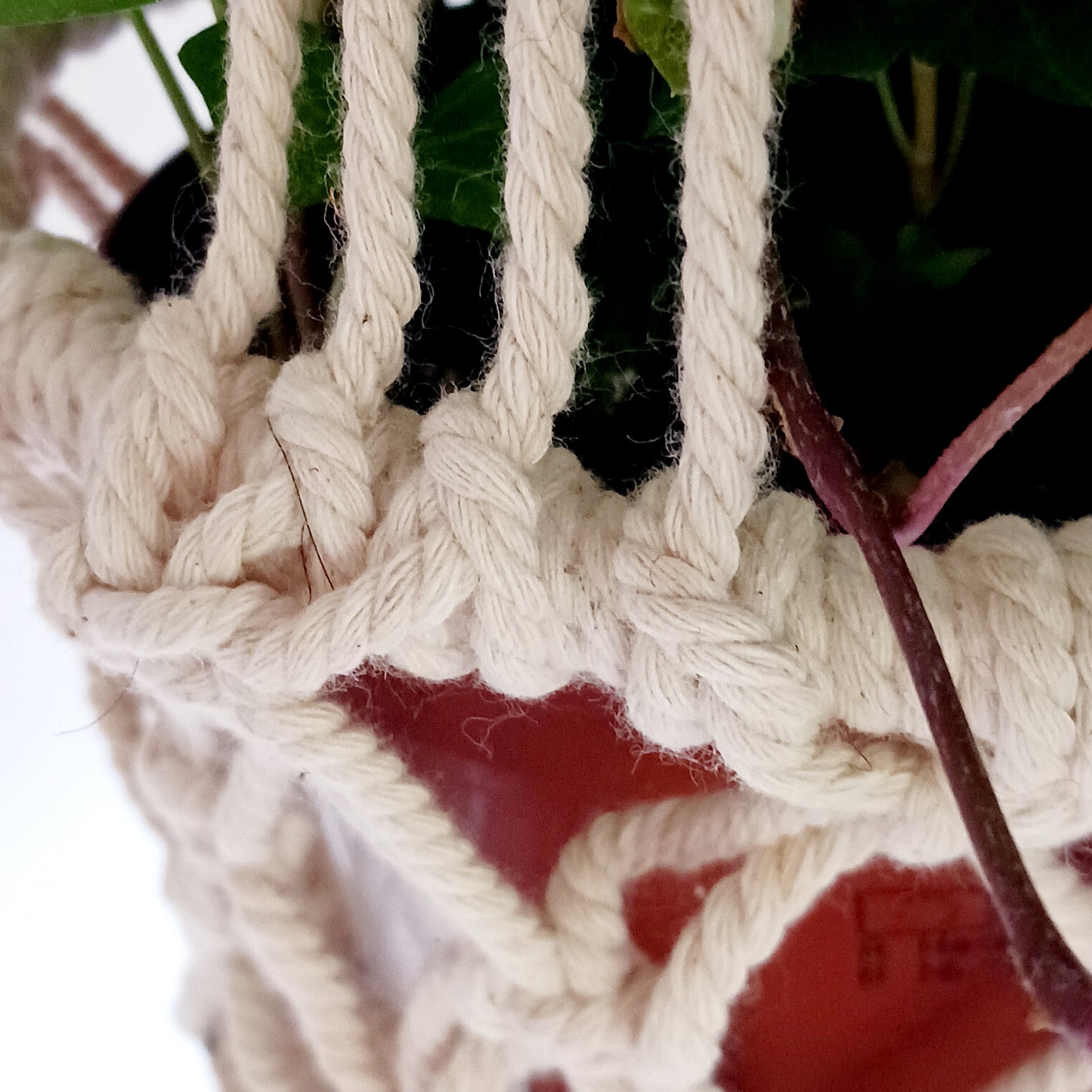These handmade macrame plant hangers are ideal for adding a bit of floral flair to your home.