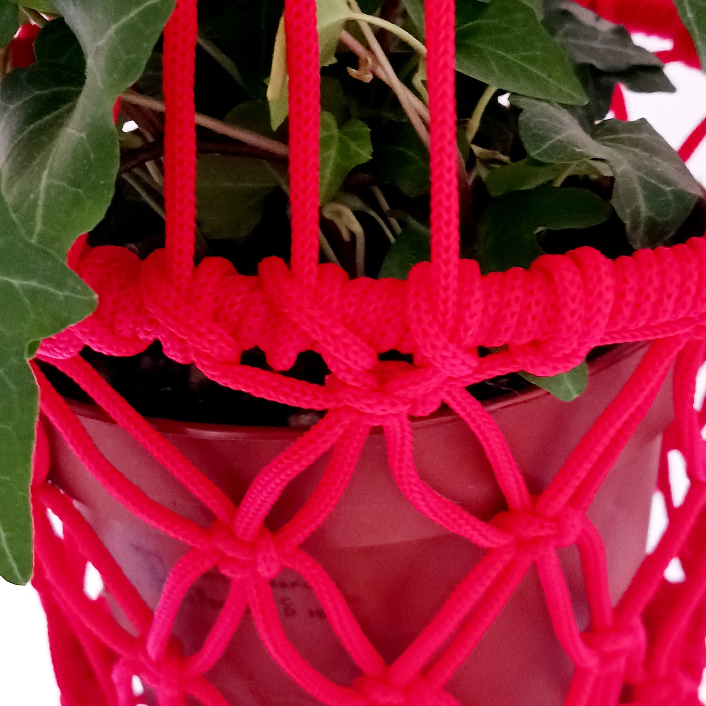 Macrame Plant Hangers | Various Colours
