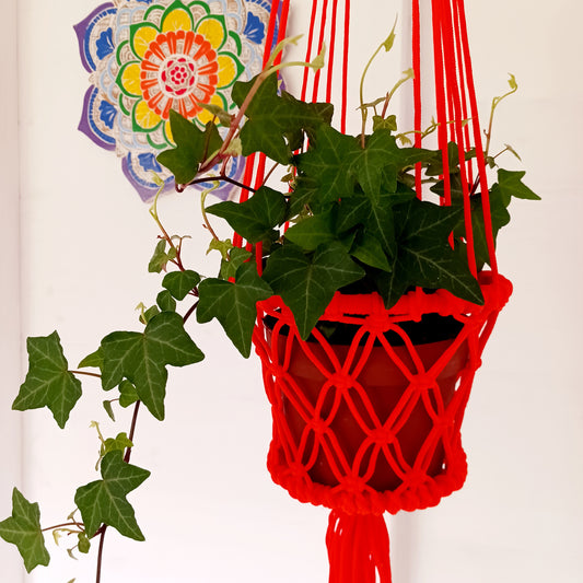 Macrame Plant Hangers | Various Colours