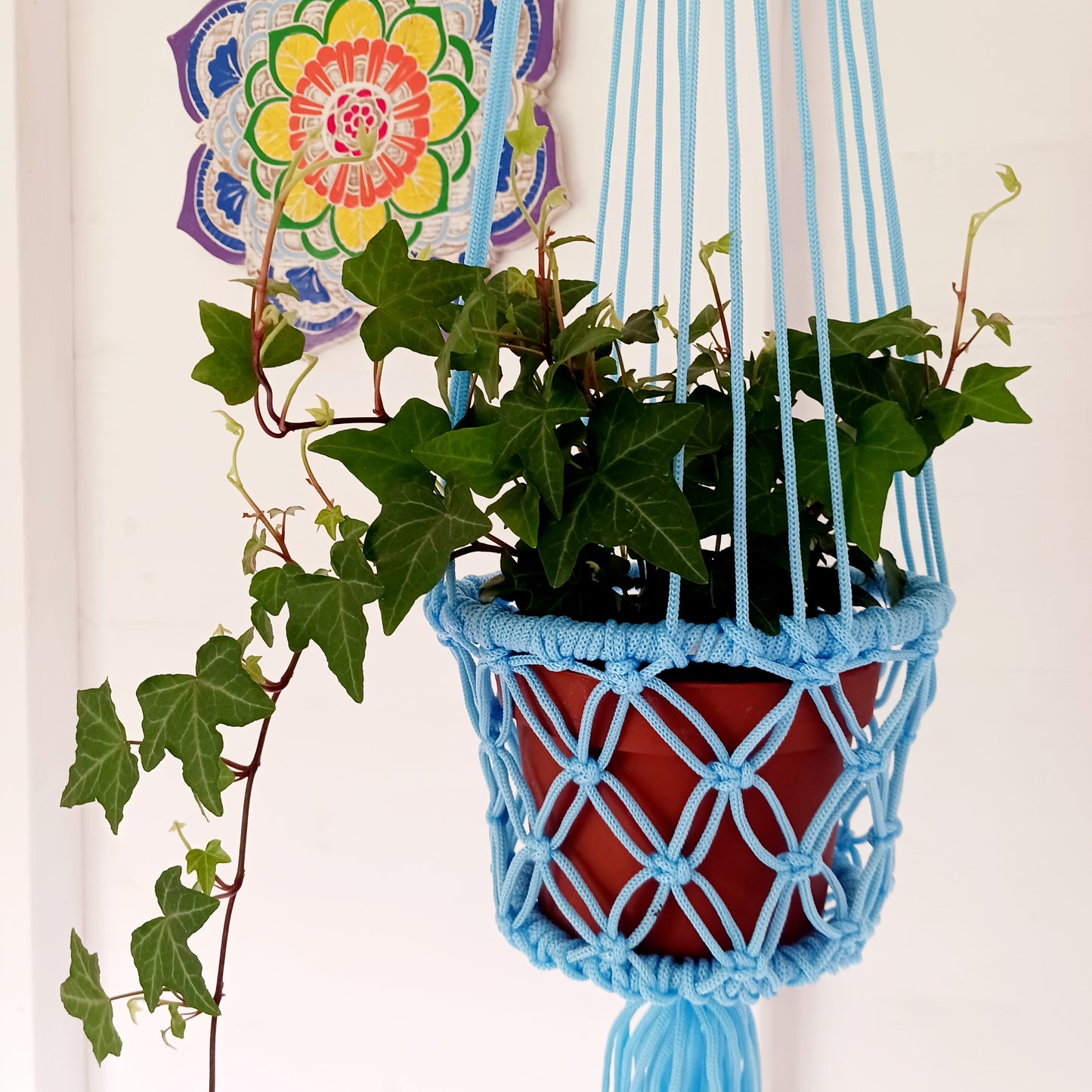 Macrame Plant Hangers | Various Colours