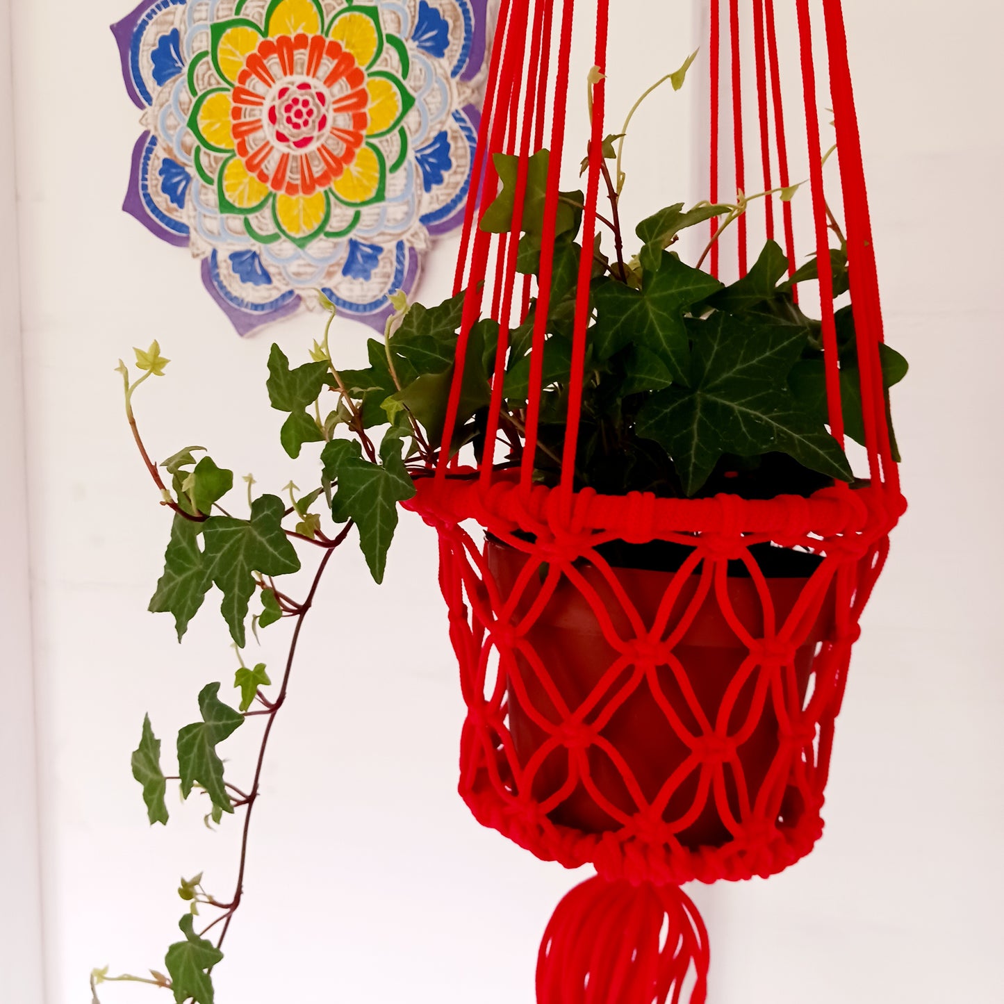 Macrame Plant Hangers | Various Colours