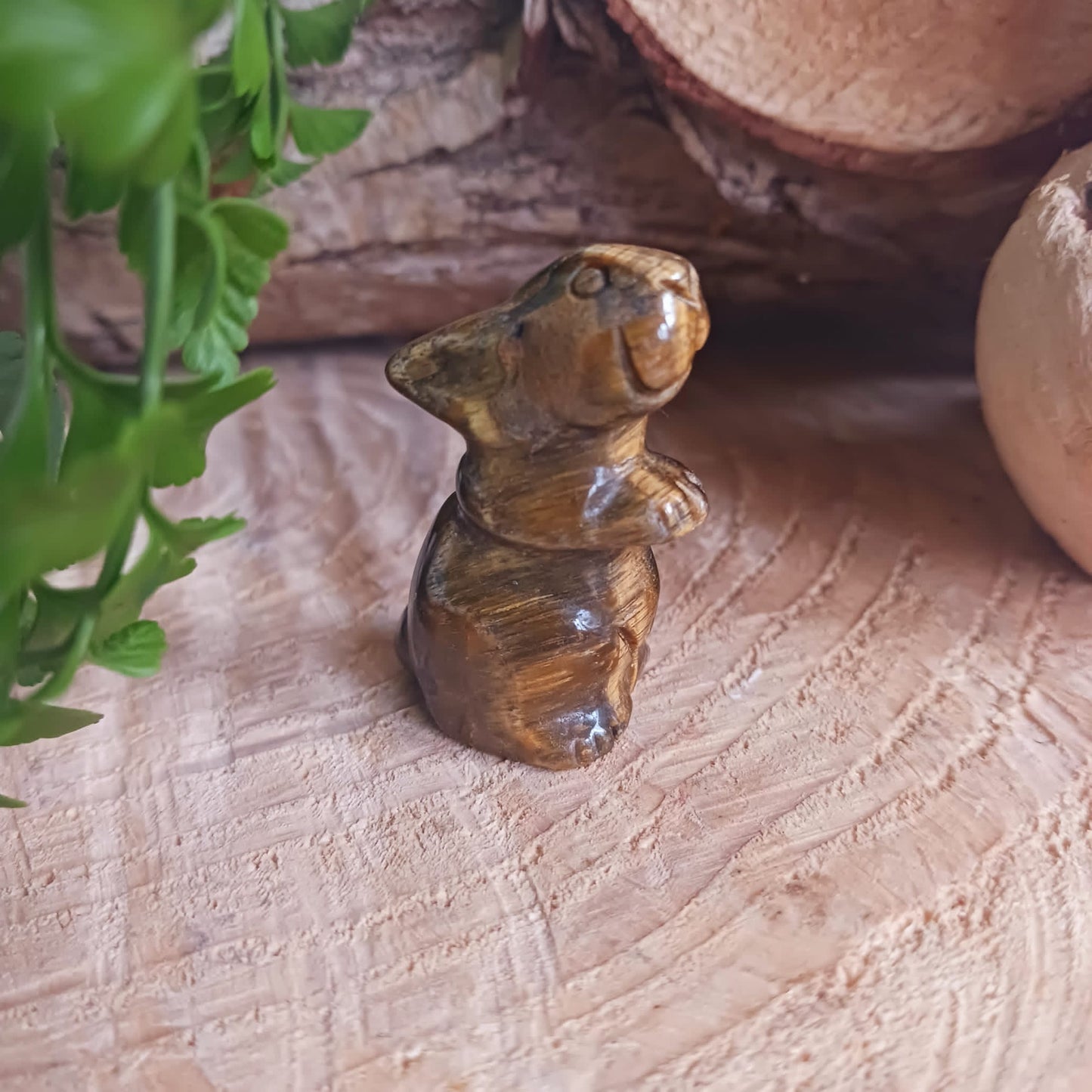 This cute little golden Tigers Eye rabbit has been hard carved from the stone with unique markings reminiscent of rich gold brown fur. As these are hand carved, each bunny is unique and individual.