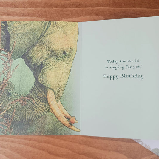 Listen Birthday Card | Elephant themed Birthday cards eco friendly