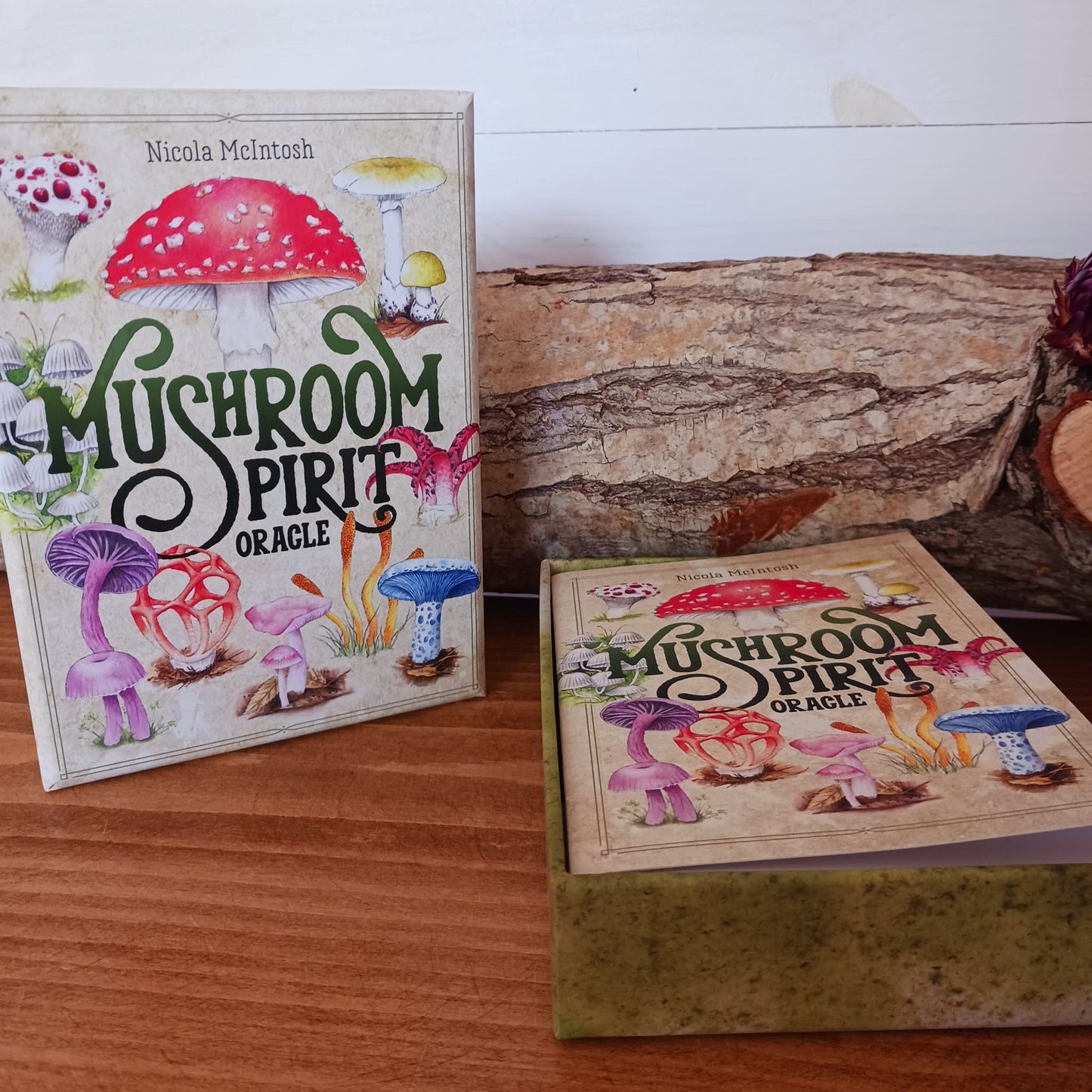 Mushroom Spirit Oracle | Guidebook & Cards - Mushroom Gifts