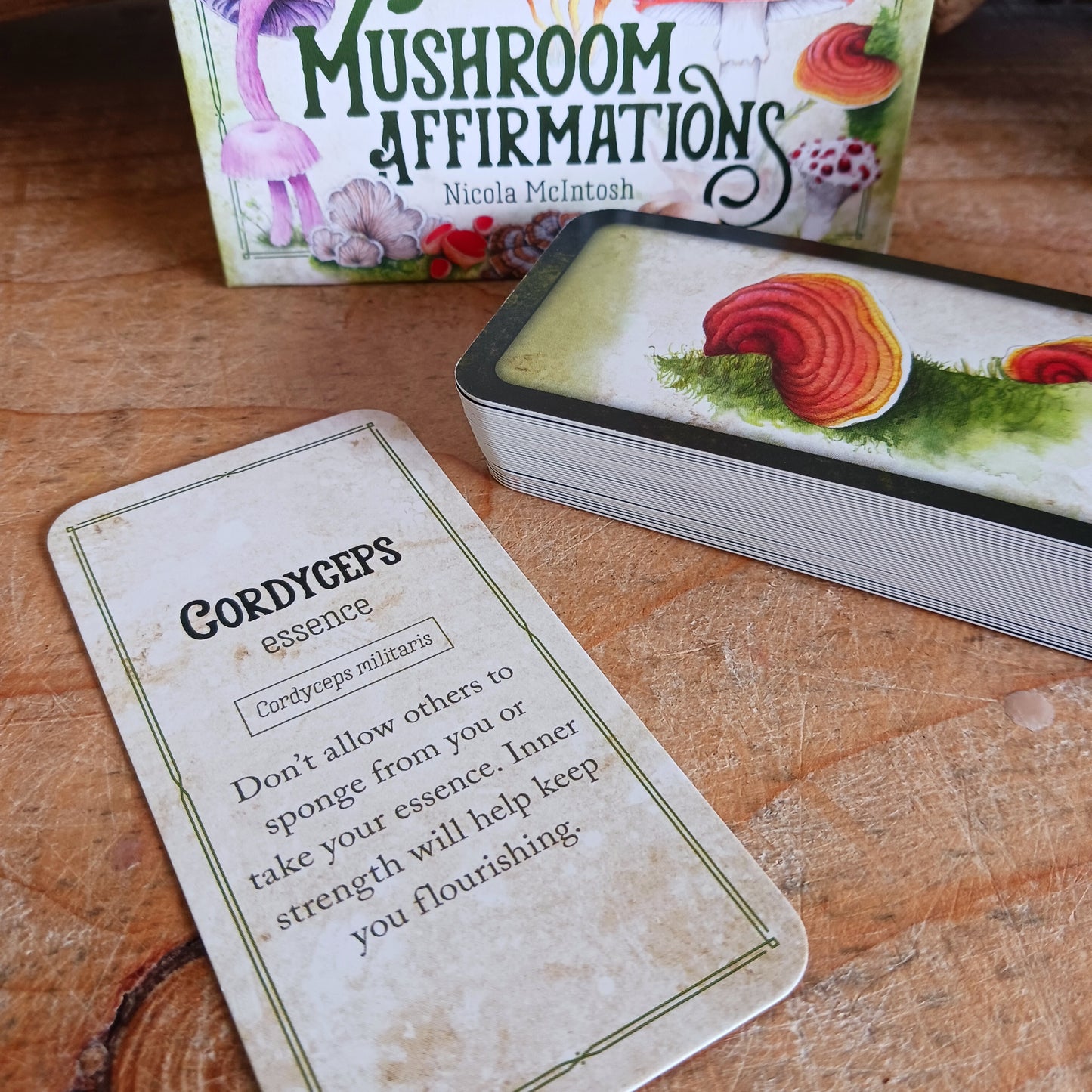 This exquisite deck of 40 cards features hand-drawn images of mushrooms from around the world, each with a message of guidance and inspiration. Nature has so much wisdom to share if we learn to see what it is showing us.