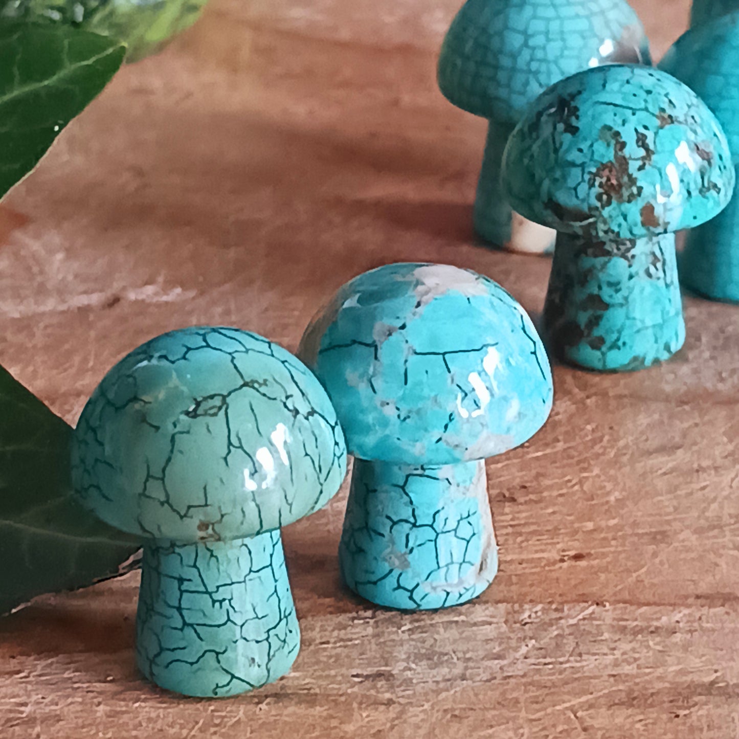 We absolutely love these mini gemstone mushrooms, they are simply adorable! If you like to collect gemstones these are a very lovely and affordable way to do it. Alternatively, they are the perfect gift for that crystal loving friend.