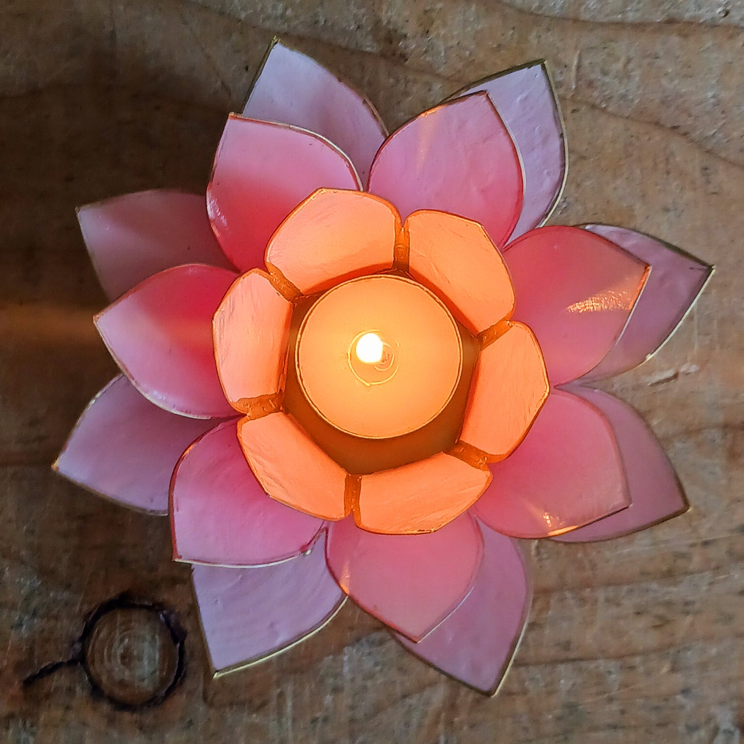 Crafted from natural Capiz shells sustainably harvested from the Philippines, this Fairtrade candle holder accommodates tealight or small candles up to 5.5cm in diameter. The translucent shells bring warmth and beauty to any setting, while celebrating ethical craftsmanship and the artistry of Filipino shell work.