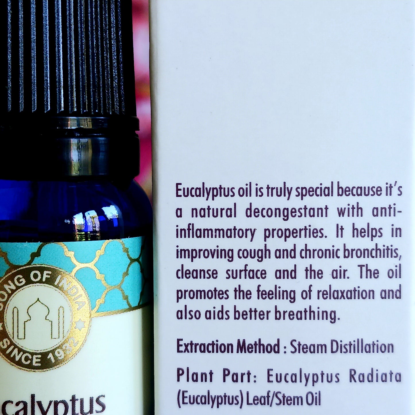 Experience the refreshing power of nature with Song of India Pure Eucalyptus Essential Oil, expertly crafted to support clear breathing and revitalisation. This premium-quality essential oil comes with a convenient glass pipette for precise, mess-free application.