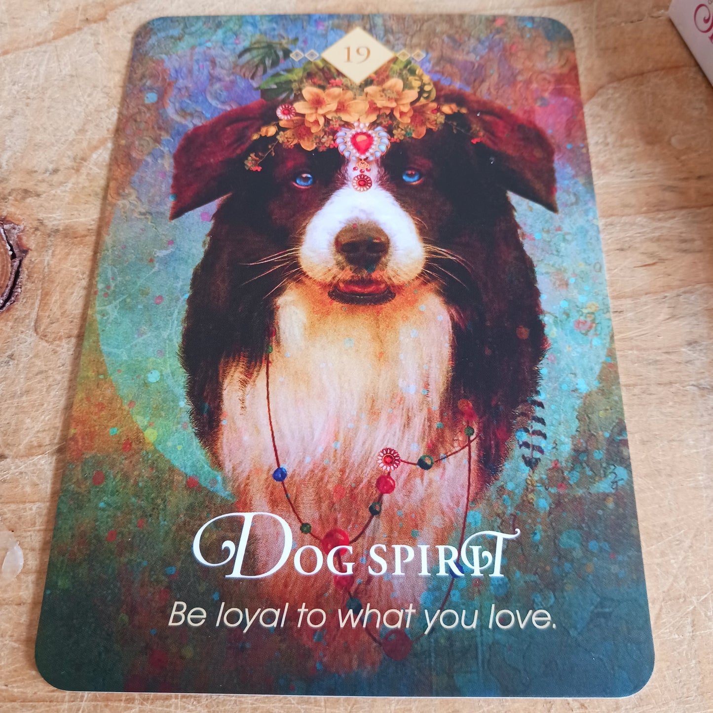 Represented in the 68 cards of this beautifully illustrated oracle deck are the Higher Spirits of different animals, insects, fish, and bird. Every animal has a transcendent archetypal symbolism, a universal meaning holding a message of deep, enduring truth. With guidance from intuitive master and oracle expert Colette Baron-Reid, you can now awaken to your partnership with Spirit to co-create your reality in service to the world.