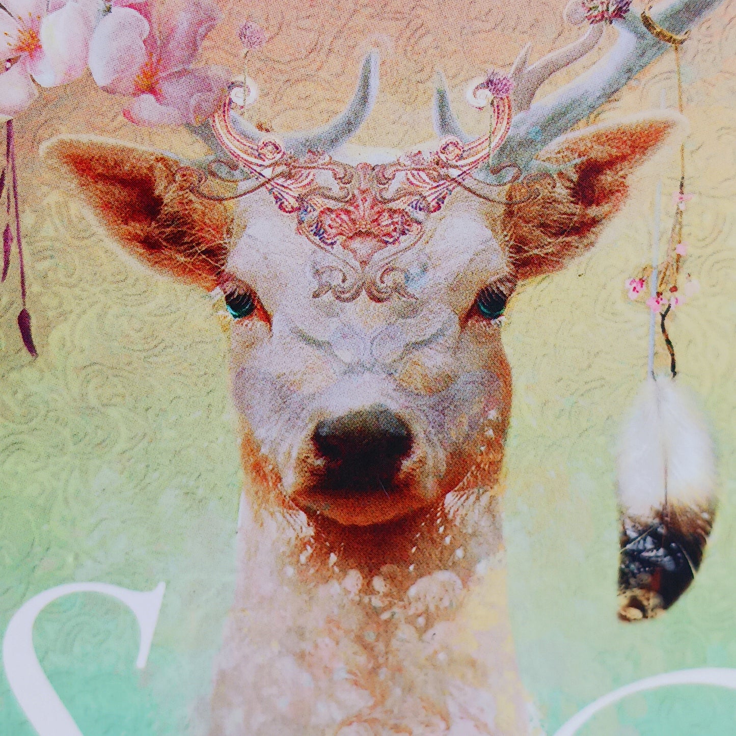 Represented in the 68 cards of this beautifully illustrated oracle deck are the Higher Spirits of different animals, insects, fish, and bird. Every animal has a transcendent archetypal symbolism, a universal meaning holding a message of deep, enduring truth. With guidance from intuitive master and oracle expert Colette Baron-Reid, you can now awaken to your partnership with Spirit to co-create your reality in service to the world.