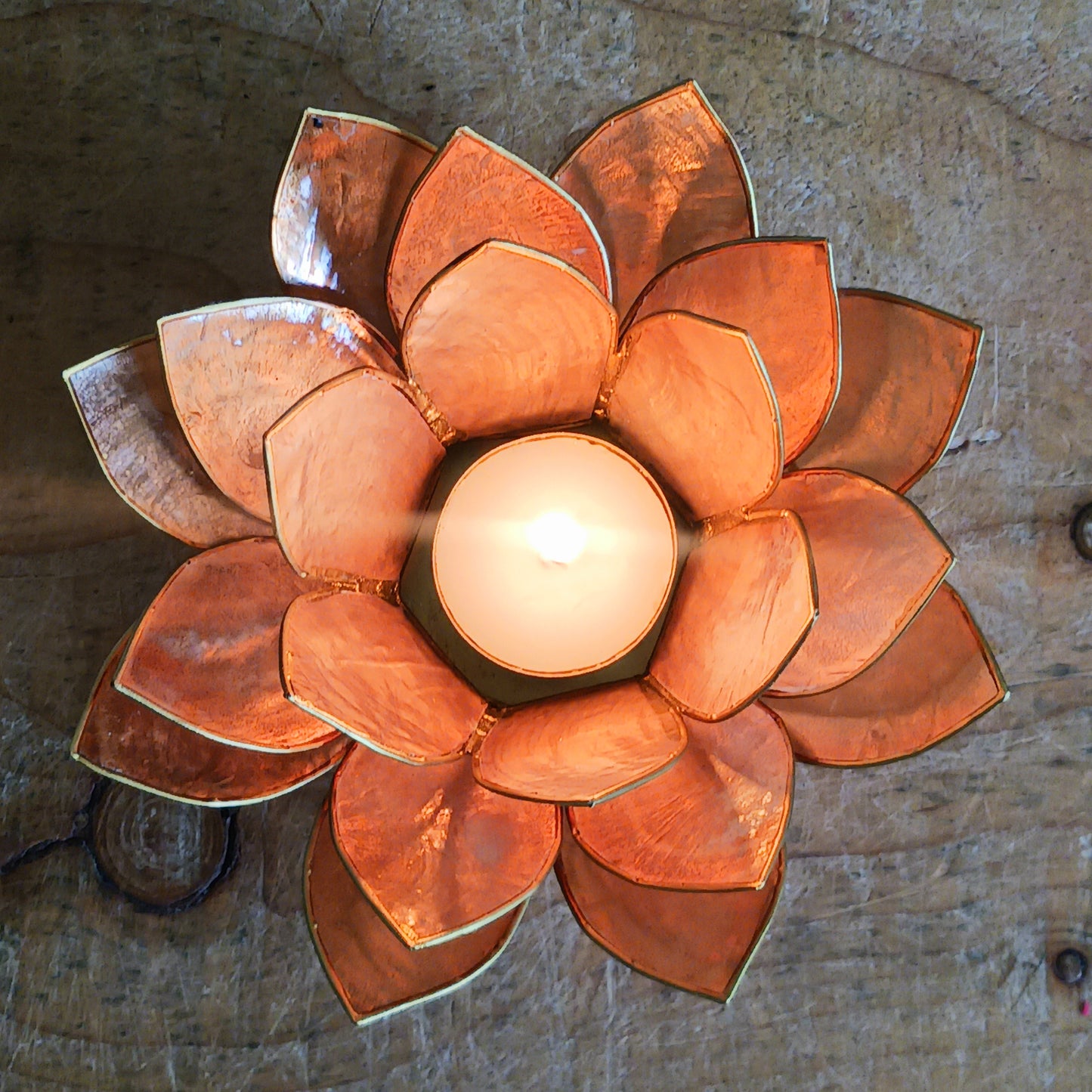 Illuminate your space with the peaceful elegance of our Capiz Shell Lotus Flower Candle Holder. Symbolizing enlightenment and serenity, this stunning handcrafted piece features delicate brown coloured petals edged in gold, forming the iconic lotus shape.