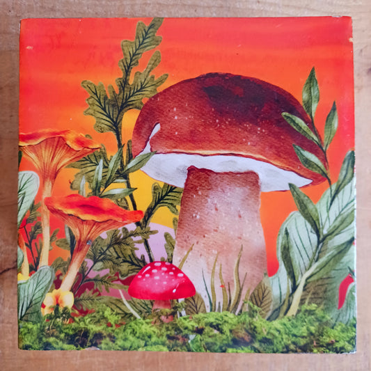 Add a touch of woodland charm to your home with this Wooden Mushroom Square Box, featuring a playful mushroom design. Combining practical storage with whimsical style, this decorative wooden box is perfect for keeping jewellery, trinkets and other small treasures safely tucked away.