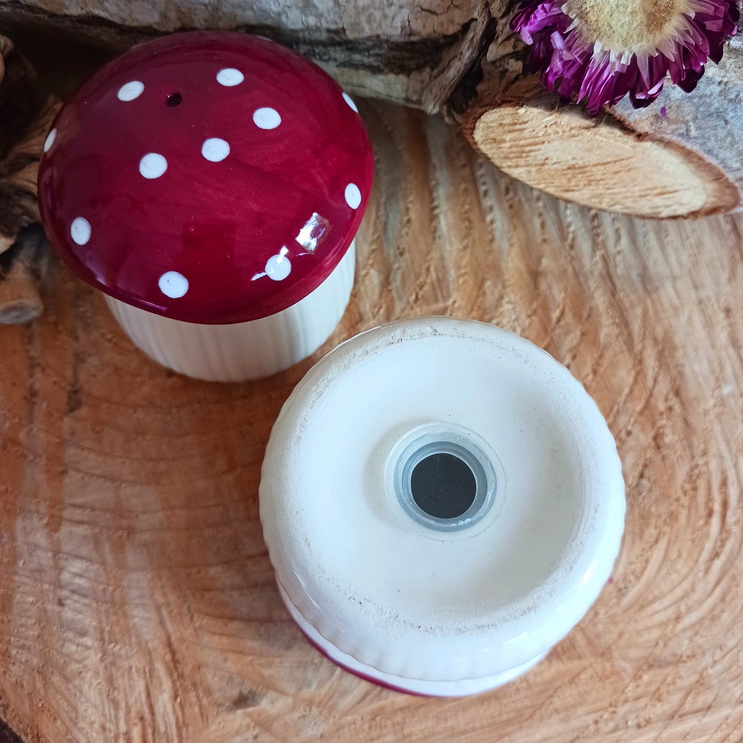 Make every meal feel like an enchanted feast with these cute and quirky mushroom shaped salt and pepper shakers.  A perfect gift for lovers of all things fungi, or for anyone who wants to fill their home with extraordinary and unique pieces.