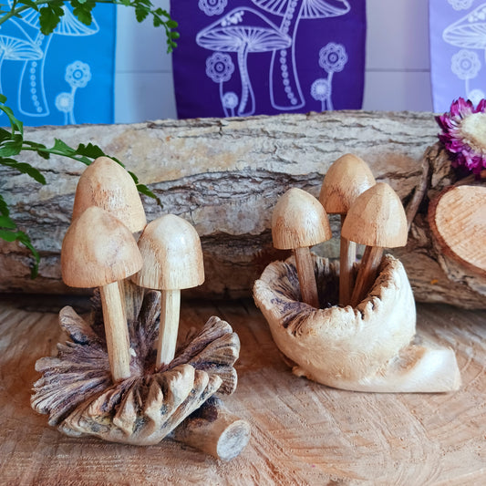 These collections of little hand carved wooden mushrooms have been carefully carved in white wood to fit perfectly into this fascinating wood rose formation.&nbsp;  The unique mushroom-like structures sometimes called "wood roses" are the result of a parasitic mistletoe plant that grows on trees in Bali, commonly the chinaberry tree.