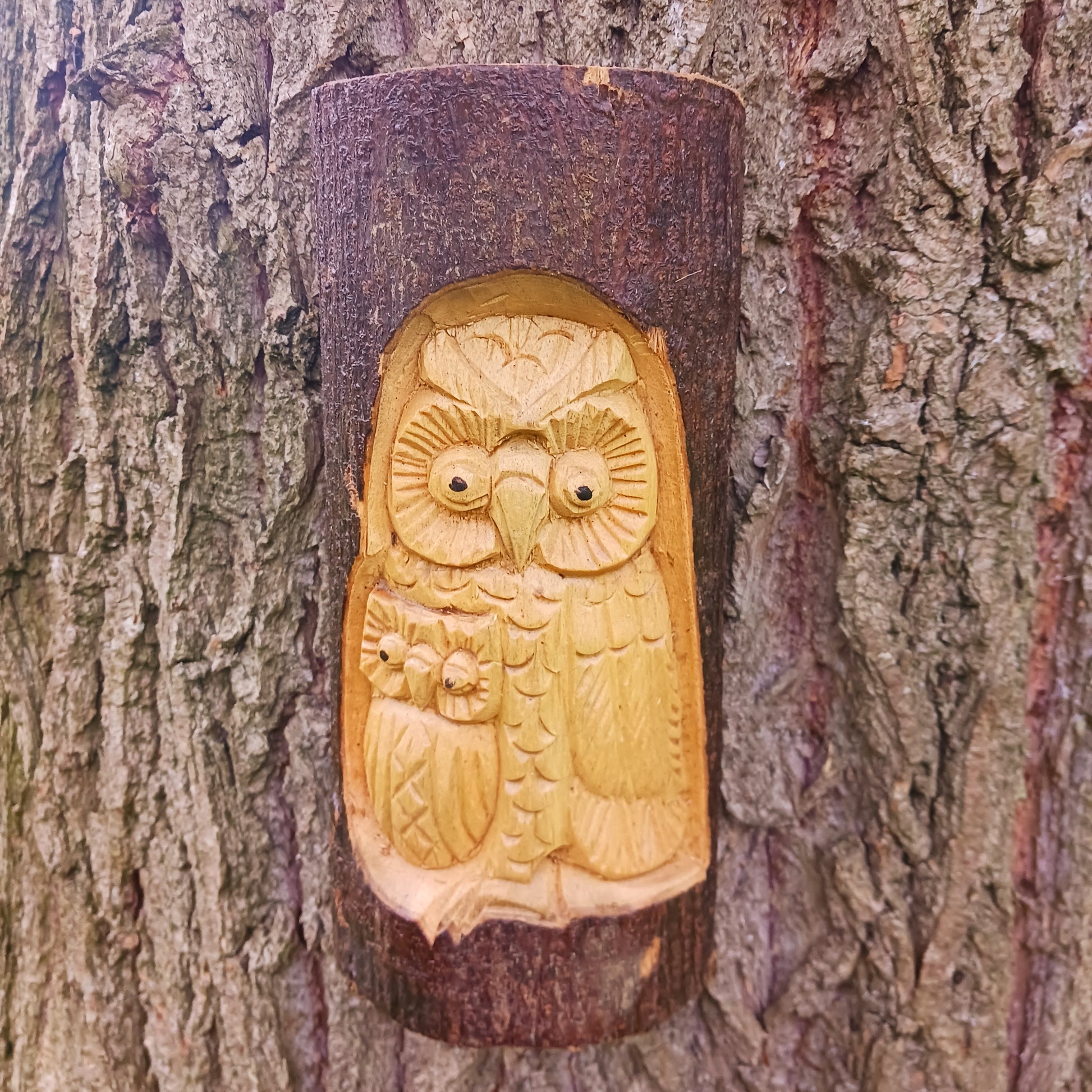 This wonderfully unique and beautifully designed tree stump log carving features a mother and baby owl and is fashioned from the trunks of Chinaberry (Jempinis) and Hibiscus trunks off cuts.