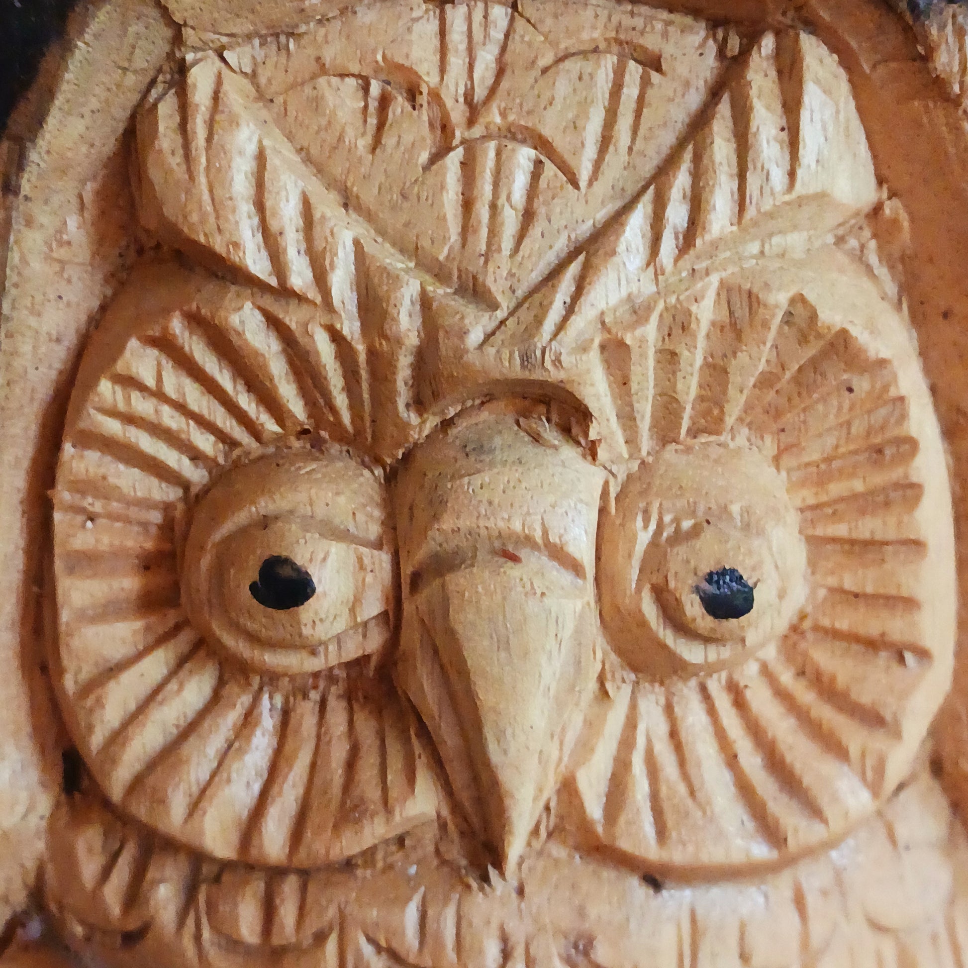 This wonderfully unique and beautifully designed tree stump log carving features a mother and baby owl and is fashioned from the trunks of Chinaberry (Jempinis) and Hibiscus trunks off cuts.