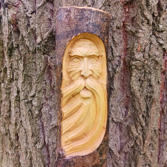 This wonderfully unique and beautifully designed tree stump log carving features the Tree Spirit 'Man of the Wood' face and is fashioned from the trunks of Chinaberry (Jempinis) and Hibiscus trunks off cuts.