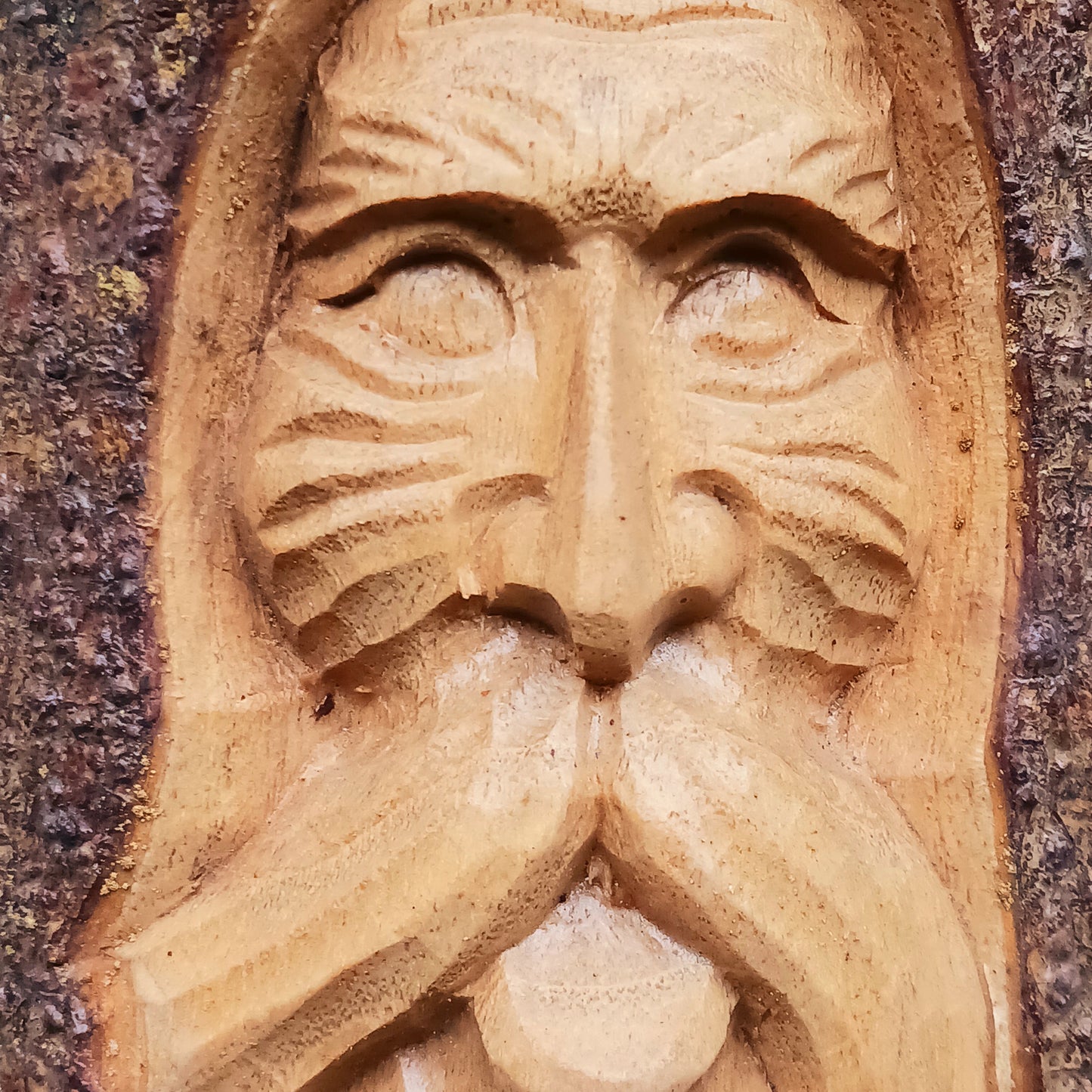 This wonderfully unique and beautifully designed tree stump log carving features the Tree Spirit 'Man of the Wood' face and is fashioned from the trunks of Chinaberry (Jempinis) and Hibiscus trunks off cuts.