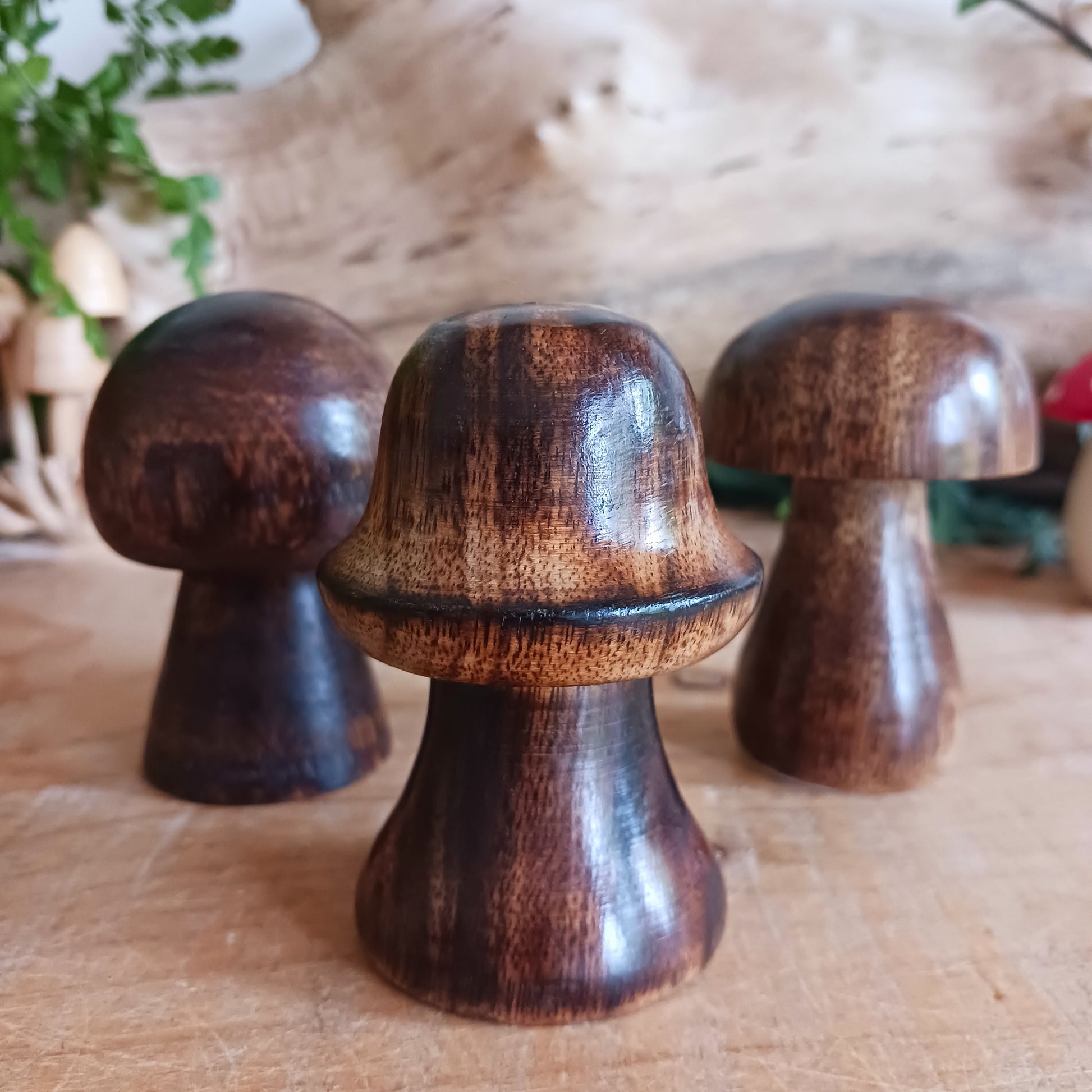 Transform your home with our enchanting set of 3 mini Incense Mushrooms. These charming decorative pieces will add a whimsical touch to your home décor.