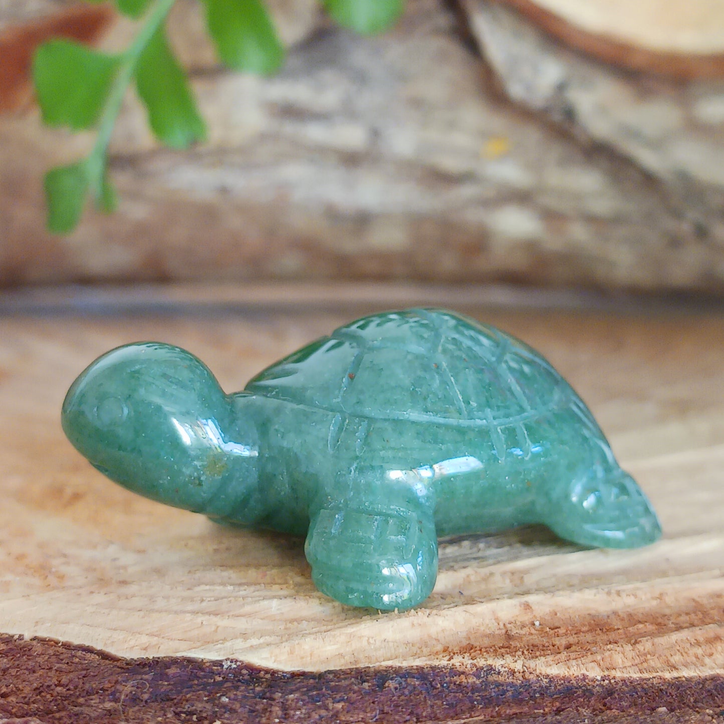 In spirituality, a turtle is widely considered a symbol of longevity, stability, wisdom and protection due to its long lifespan, slow movement, and hard shell, representing the ability to carry one's burdens and weather life's storms while maintaining a grounded and patient approach; it is often associated with feminine power and fertility in some cultures as well.