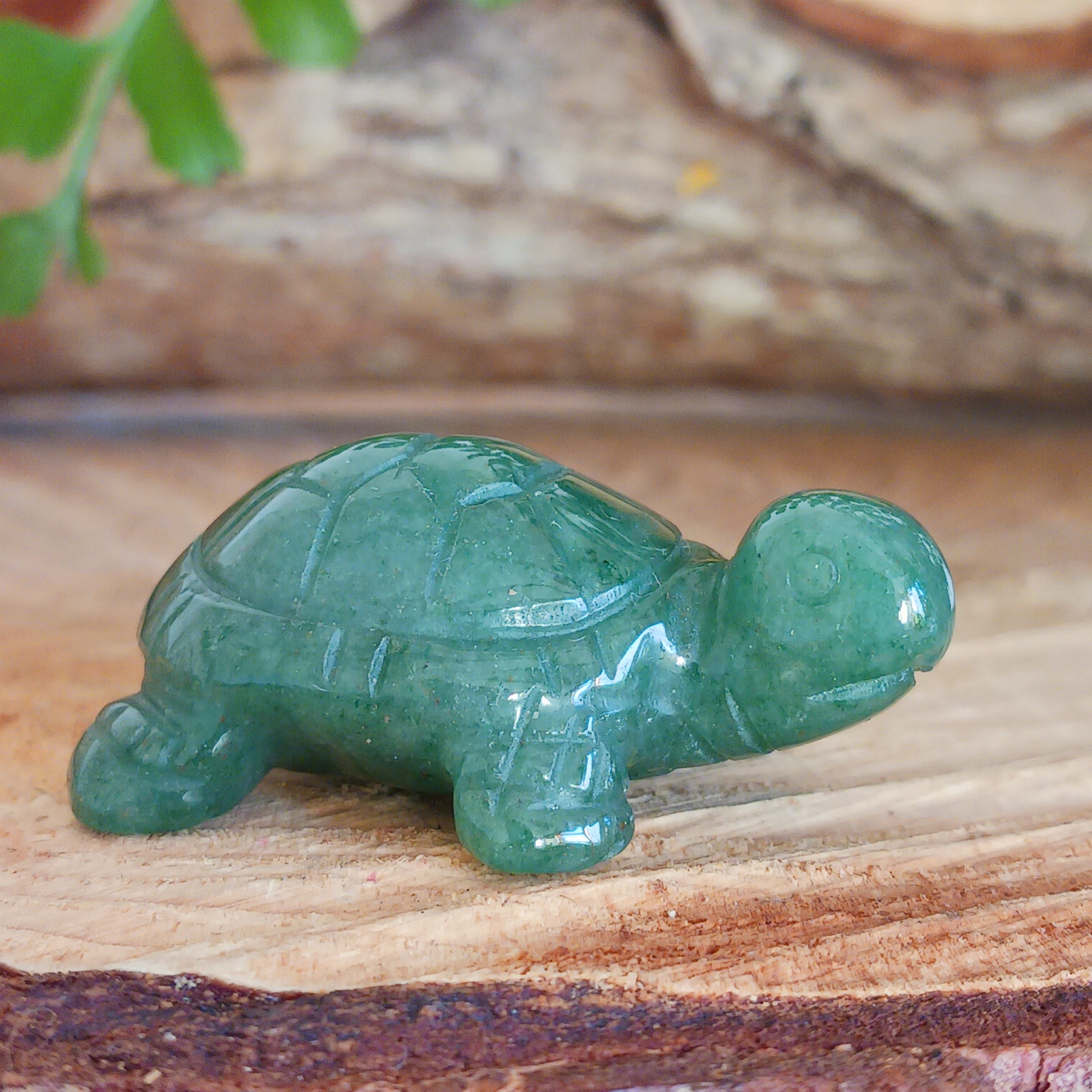 In spirituality, a turtle is widely considered a symbol of longevity, stability, wisdom and protection due to its long lifespan, slow movement, and hard shell, representing the ability to carry one's burdens and weather life's storms while maintaining a grounded and patient approach; it is often associated with feminine power and fertility in some cultures as well.