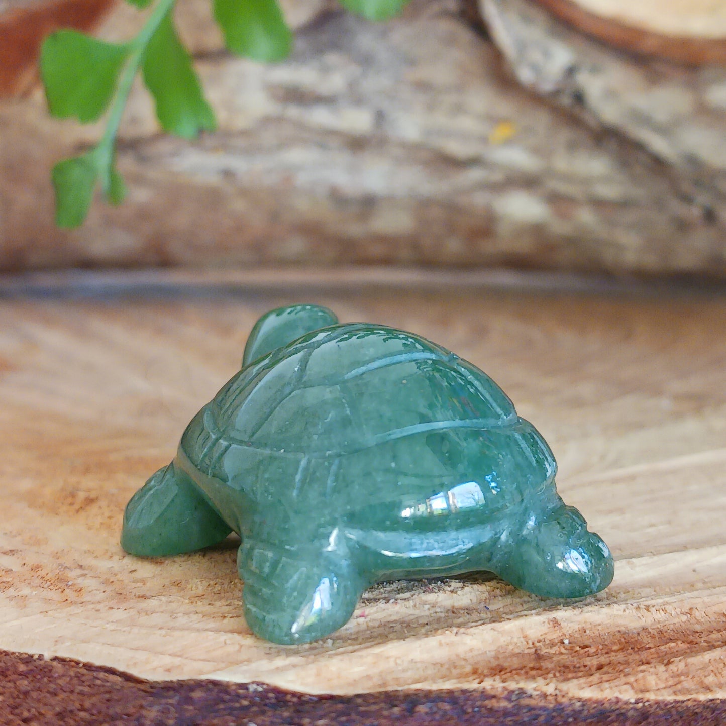 In spirituality, a turtle is widely considered a symbol of longevity, stability, wisdom and protection due to its long lifespan, slow movement, and hard shell, representing the ability to carry one's burdens and weather life's storms while maintaining a grounded and patient approach; it is often associated with feminine power and fertility in some cultures as well.