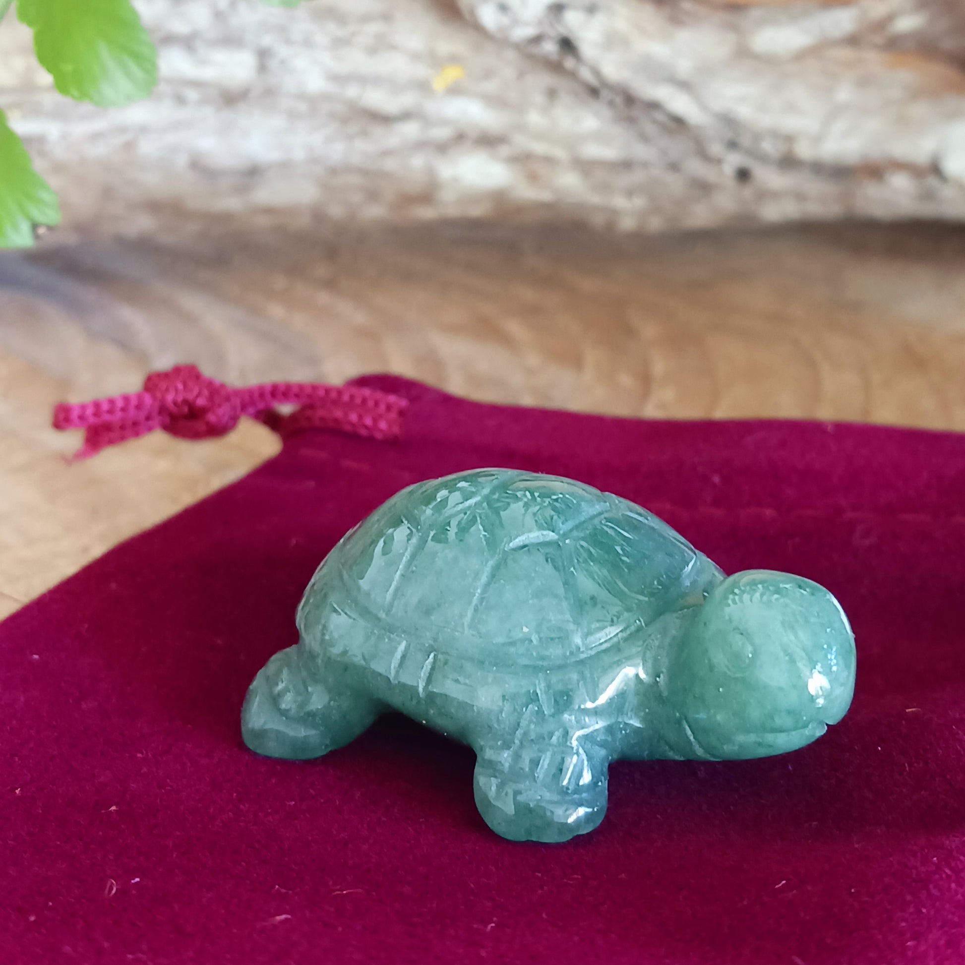 In spirituality, a turtle is widely considered a symbol of longevity, stability, wisdom and protection due to its long lifespan, slow movement, and hard shell, representing the ability to carry one's burdens and weather life's storms while maintaining a grounded and patient approach; it is often associated with feminine power and fertility in some cultures as well.