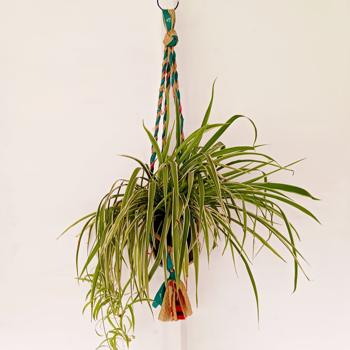 These lovely handmade sari plant hangers will add a splash of colour and boho chic to your home. Made from scraps of used sari, their simple design ensures that no fabric is wasted but is re-purposed into an elegant product. They will fit around most sized pots and features a strong metal ring for hanging.