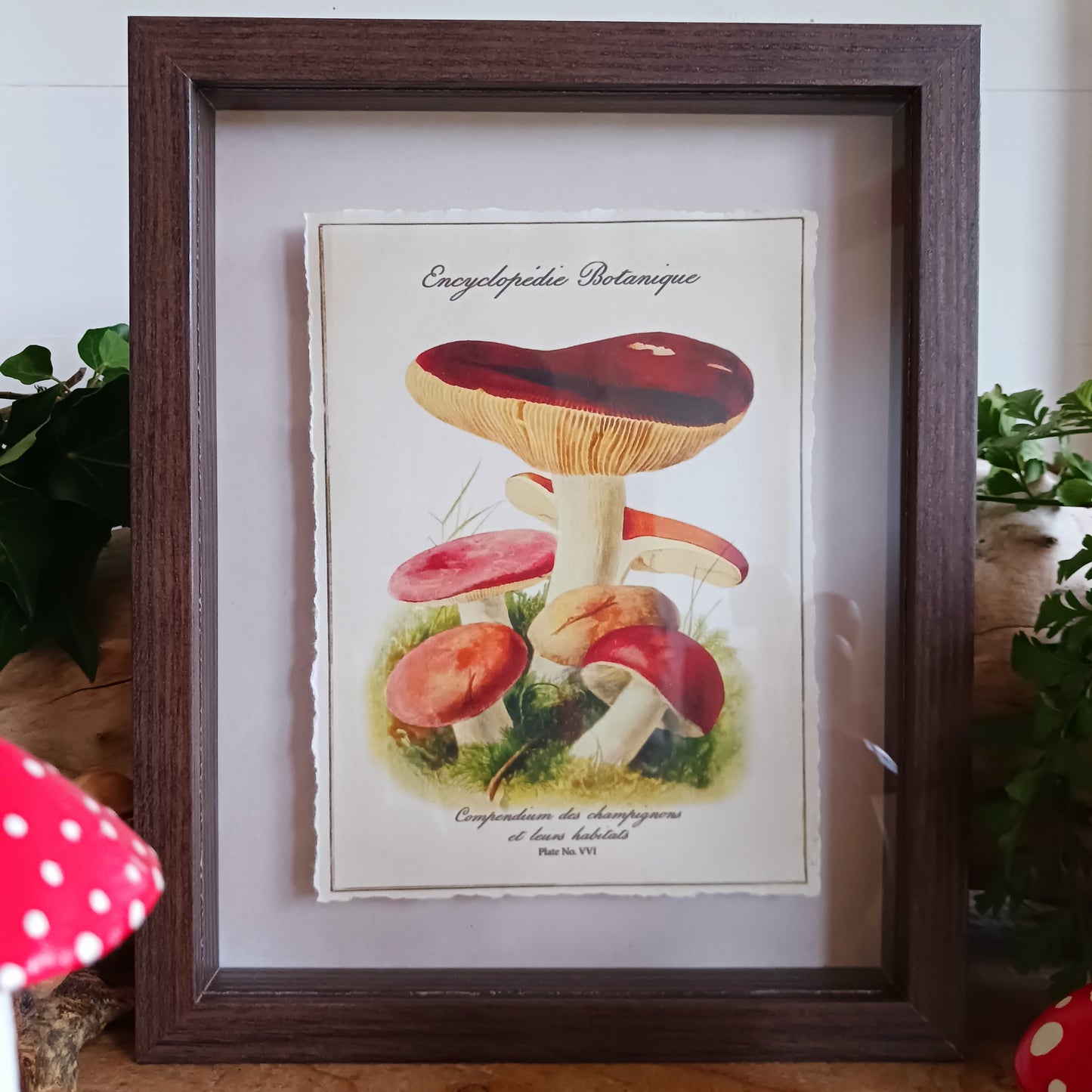 These shadowbox frames feature botanical forest mushroom prints. These framed art pieces are perfect for whimsical cottage decor and cosy home libraries.