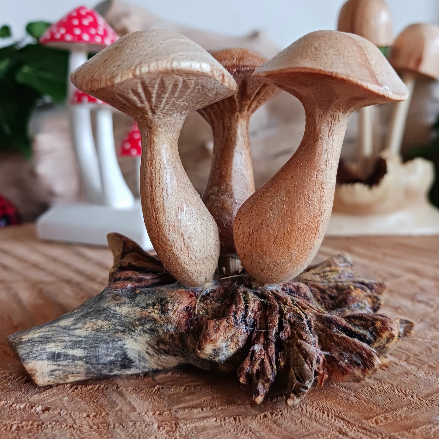 These collections of little hand carved wooden mushrooms have been carefully carved in white wood to fit perfectly into this fascinating wood rose formation.