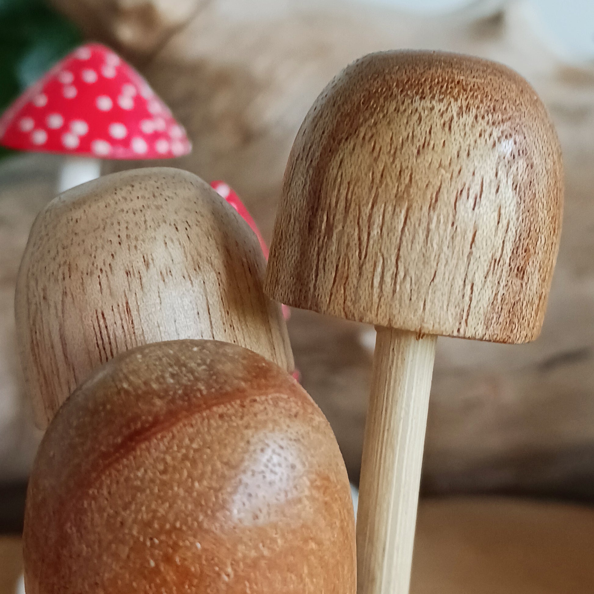 These little ovate capped mushrooms have been carefully carved in white wood to fit perfectly into this fascinating wood rose formation. The unique mushroom-like structures sometimes called "wood roses" are the result of a parasitic mistletoe plant that grows on trees in Bali, commonly the chinaberry tree. The parasite vine often destroys the branches or the whole tree if not removed. 