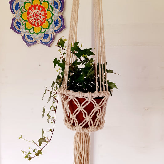 These handmade macrame plant hangers are ideal for adding a bit of floral flair to your home.