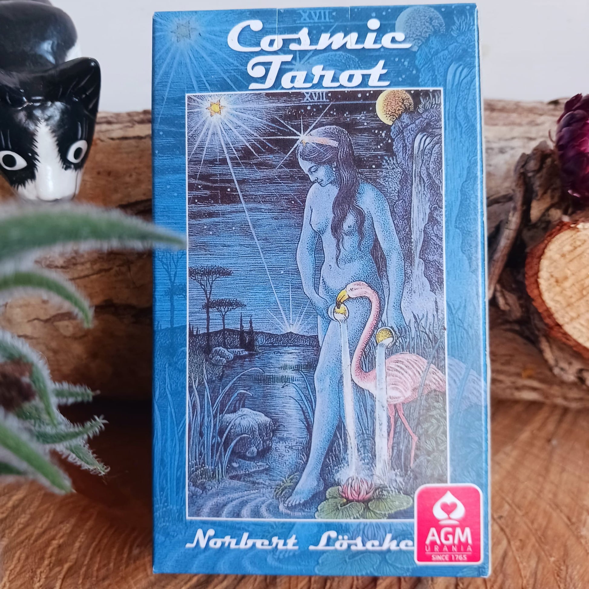 Cosmic Tarot Cards Cosmic Tarot Cards by author Norbert Losche