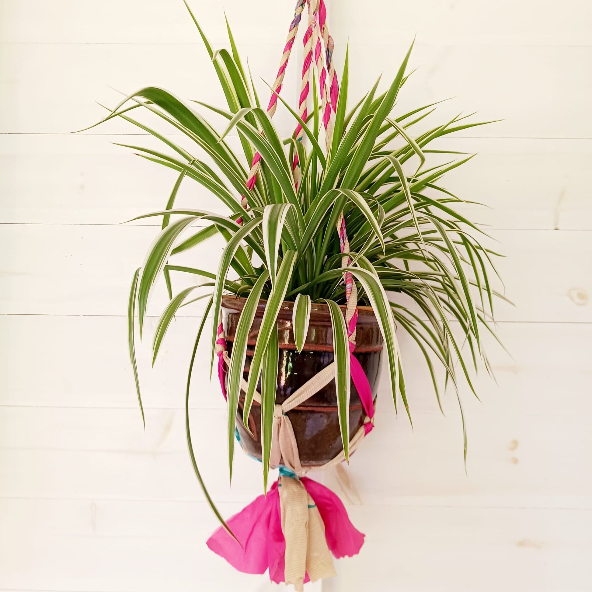 Recycled Sari Plant Hangers (Large)