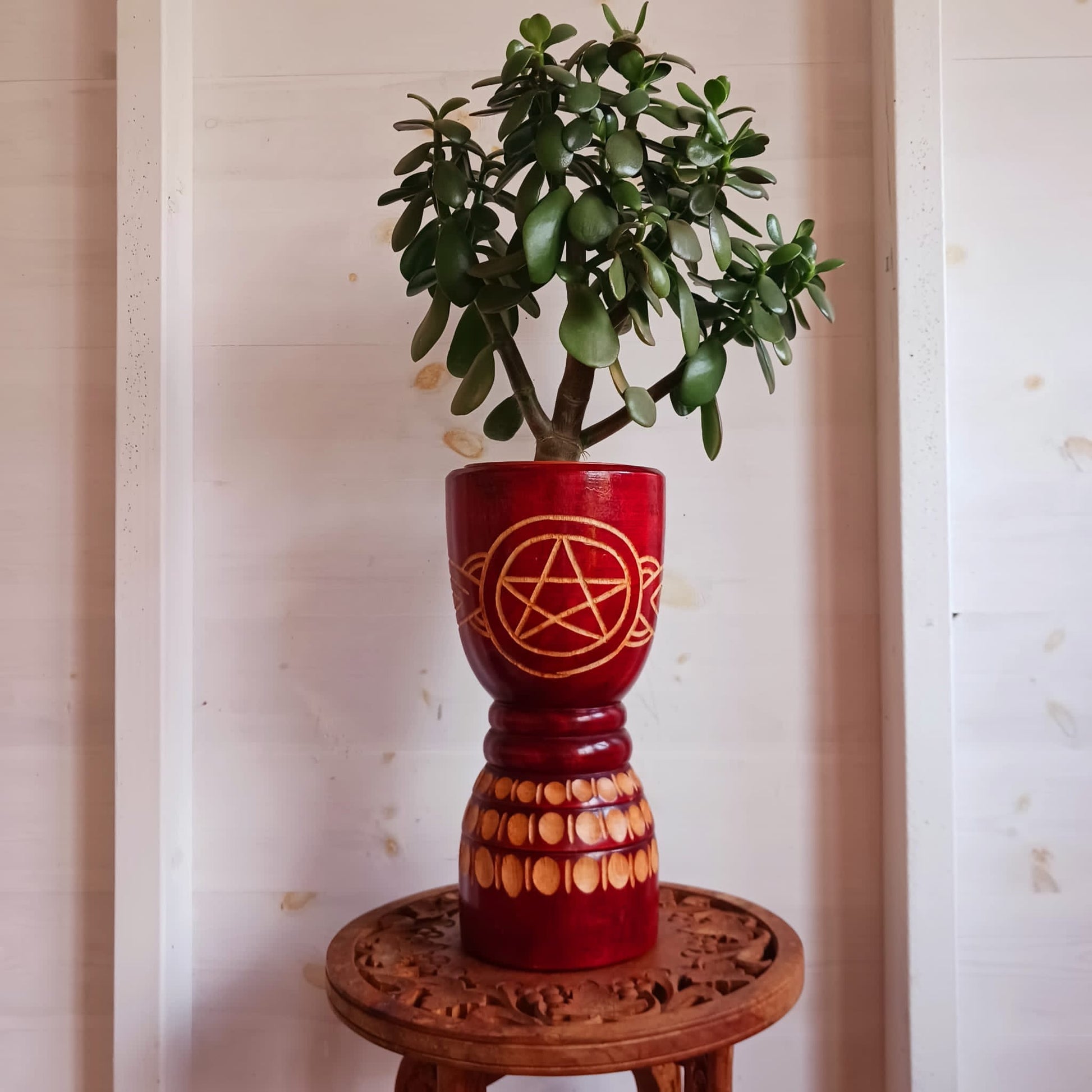 Large Pentacle Plant | Crystal Holder