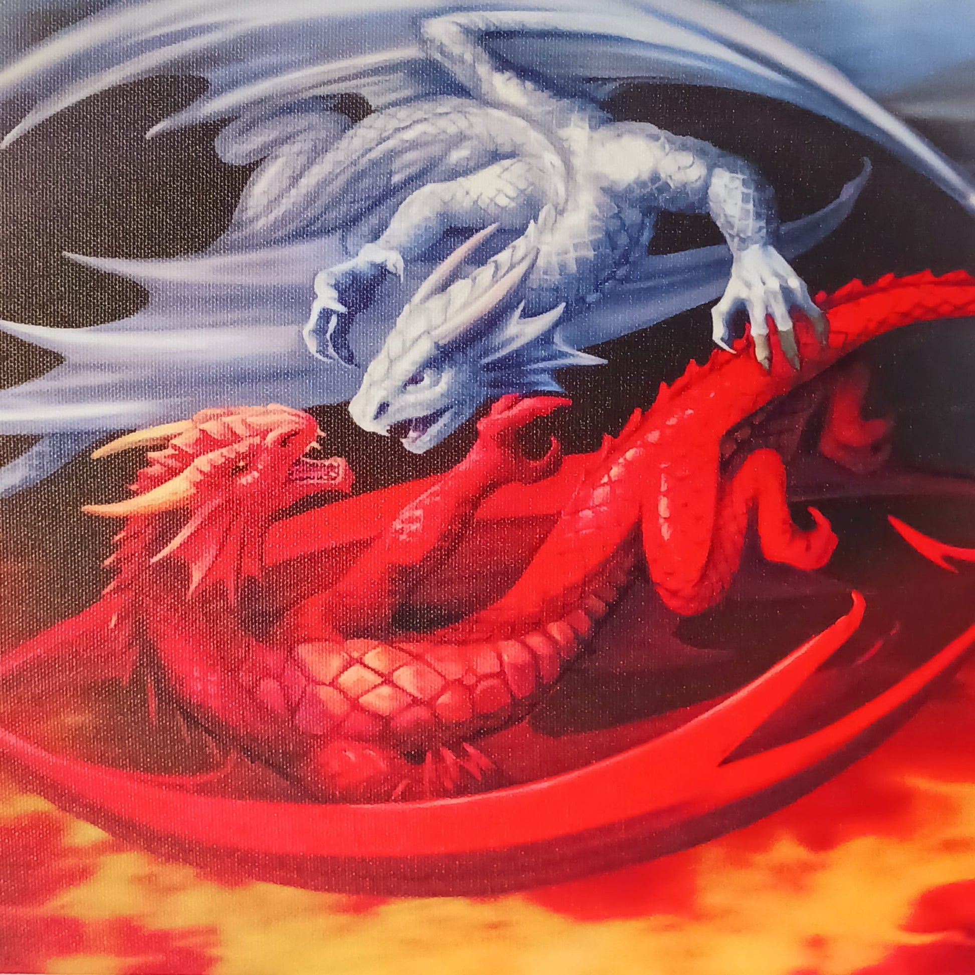 Fire and Ice Dragons | Canvass Plaque by Anne Stokes