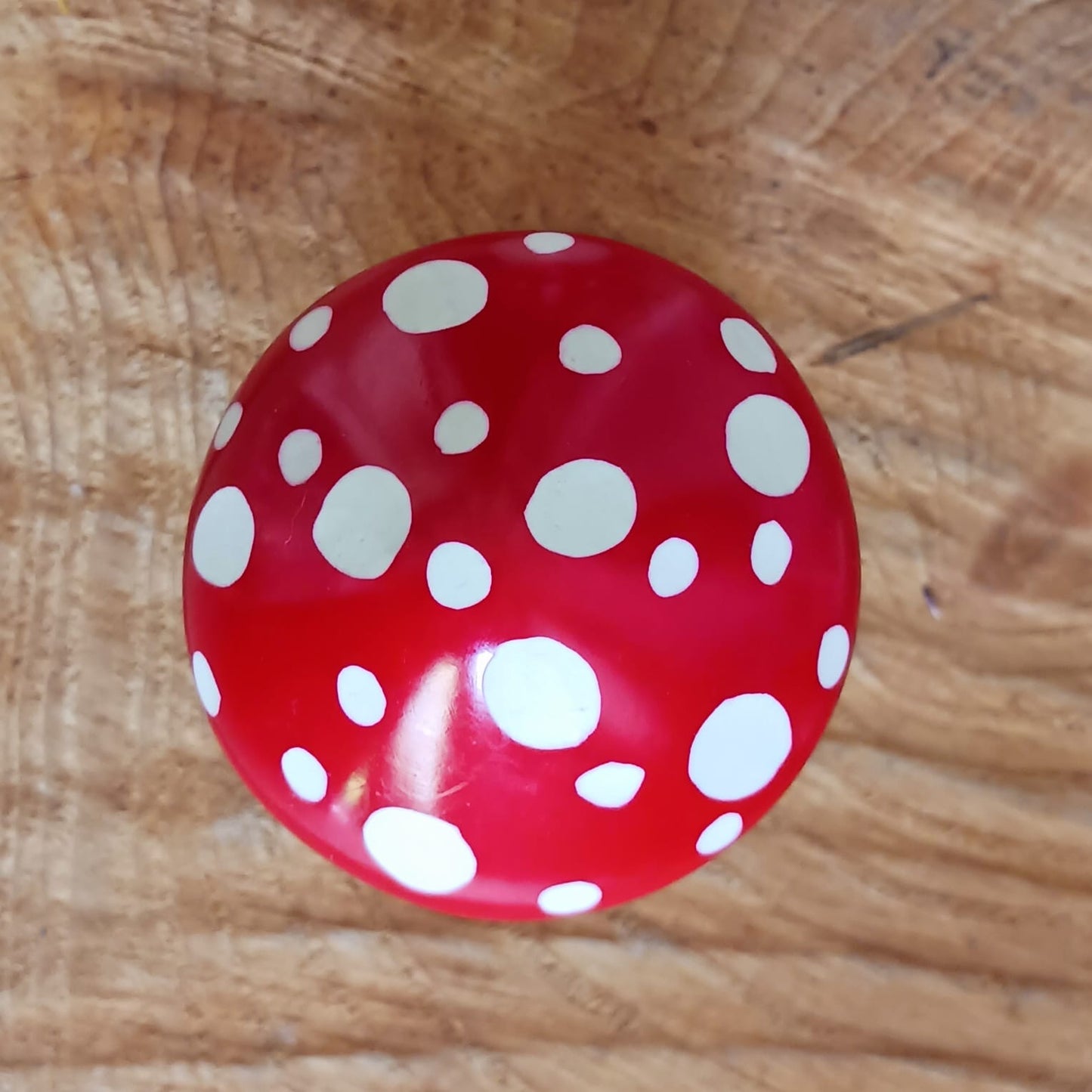 Hand carved Soapstone Mushroom