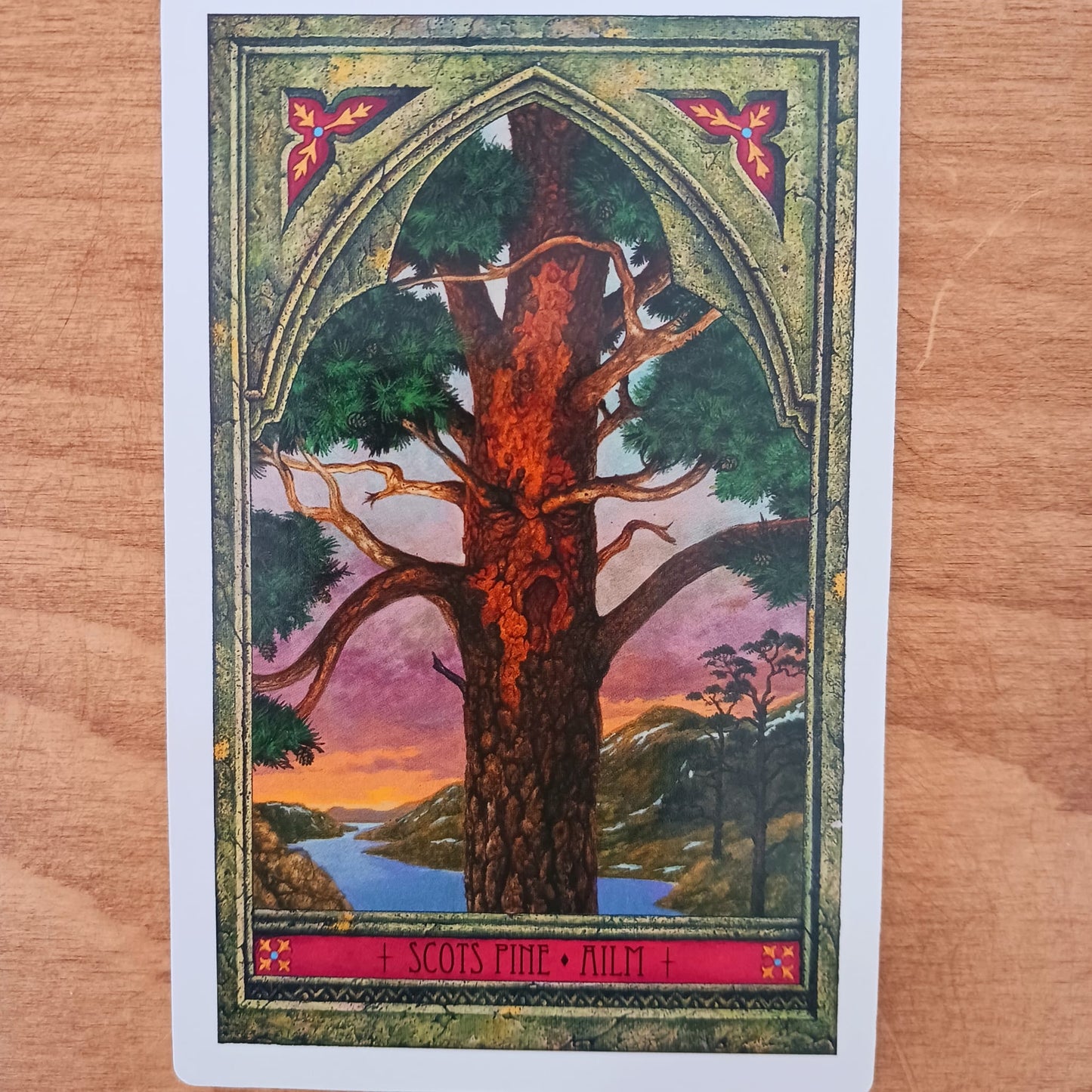 The Spirit Of Nature Oracle | John Matthews