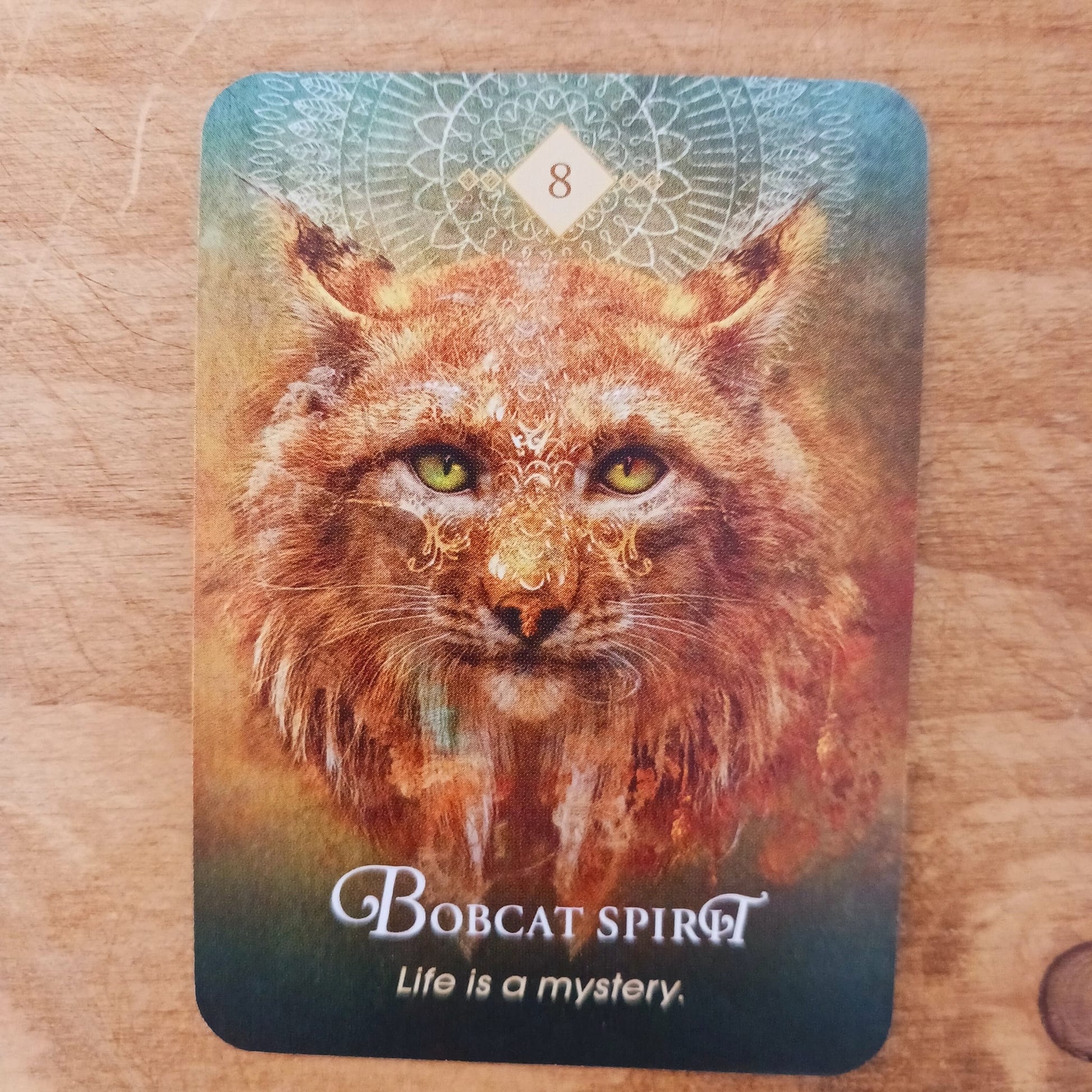 The Spirit Animal Oracle | Guidebook and Cards | Pocket Size