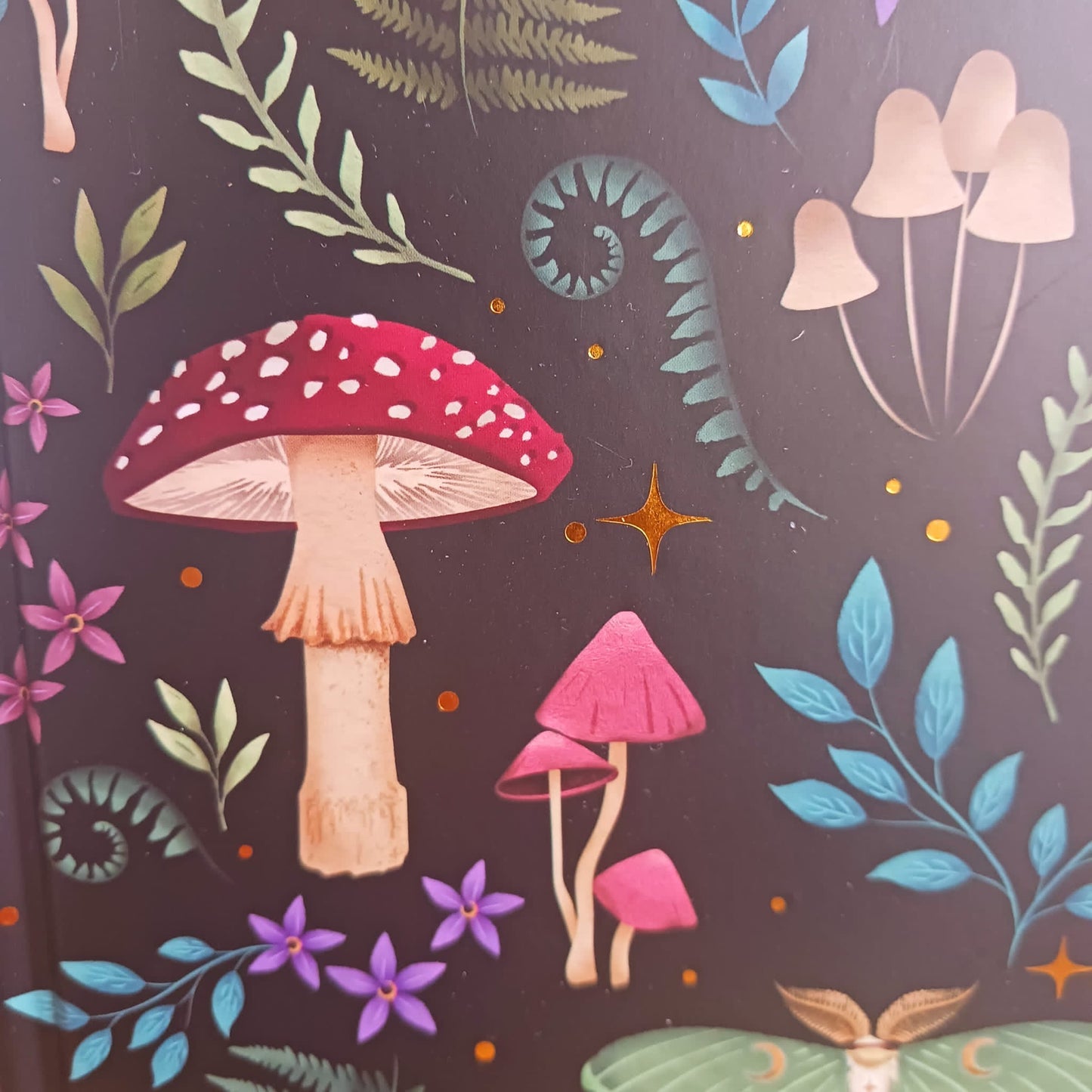 Mushroom | Dark Forest Notebook | Journal