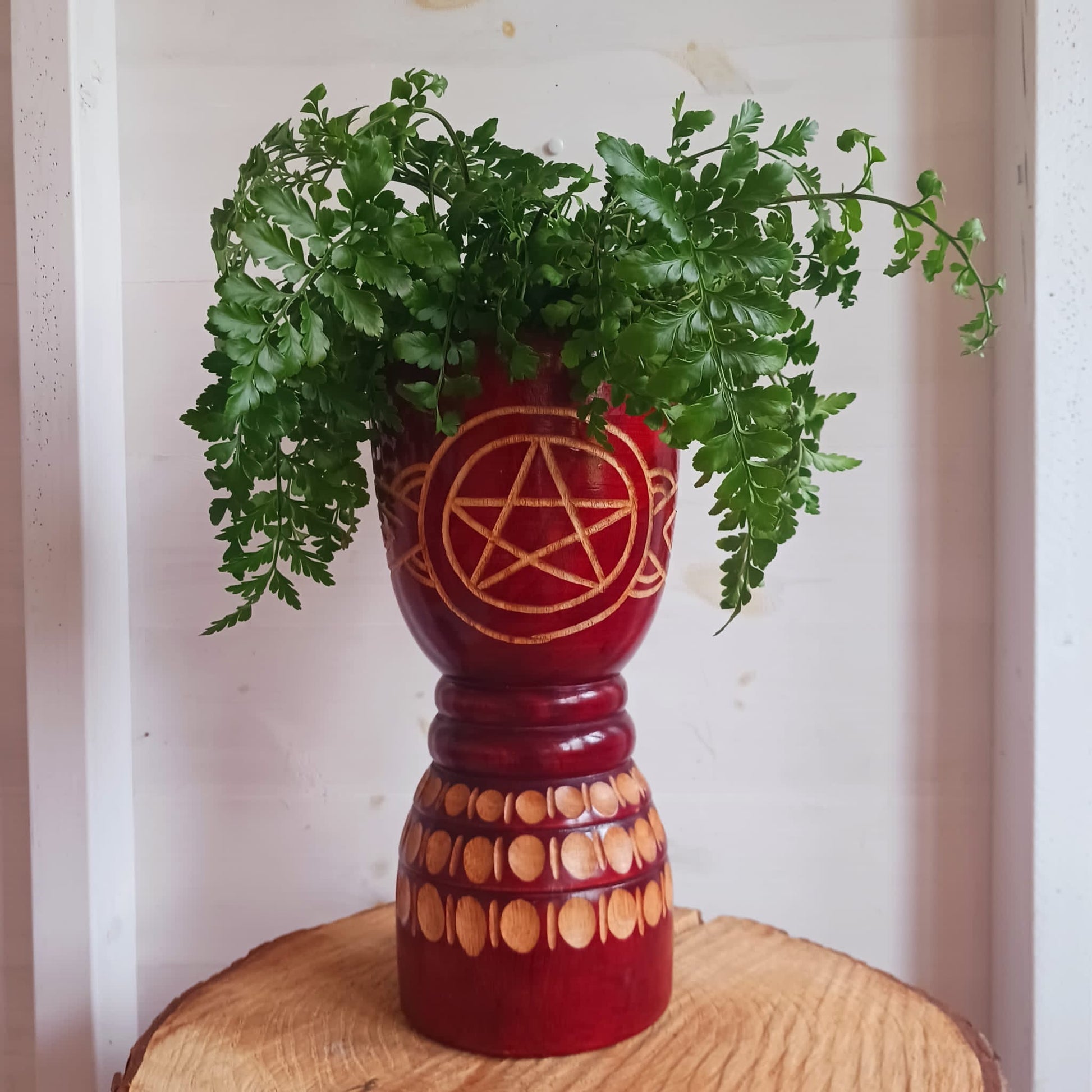 Large Pentacle Plant | Crystal Holder