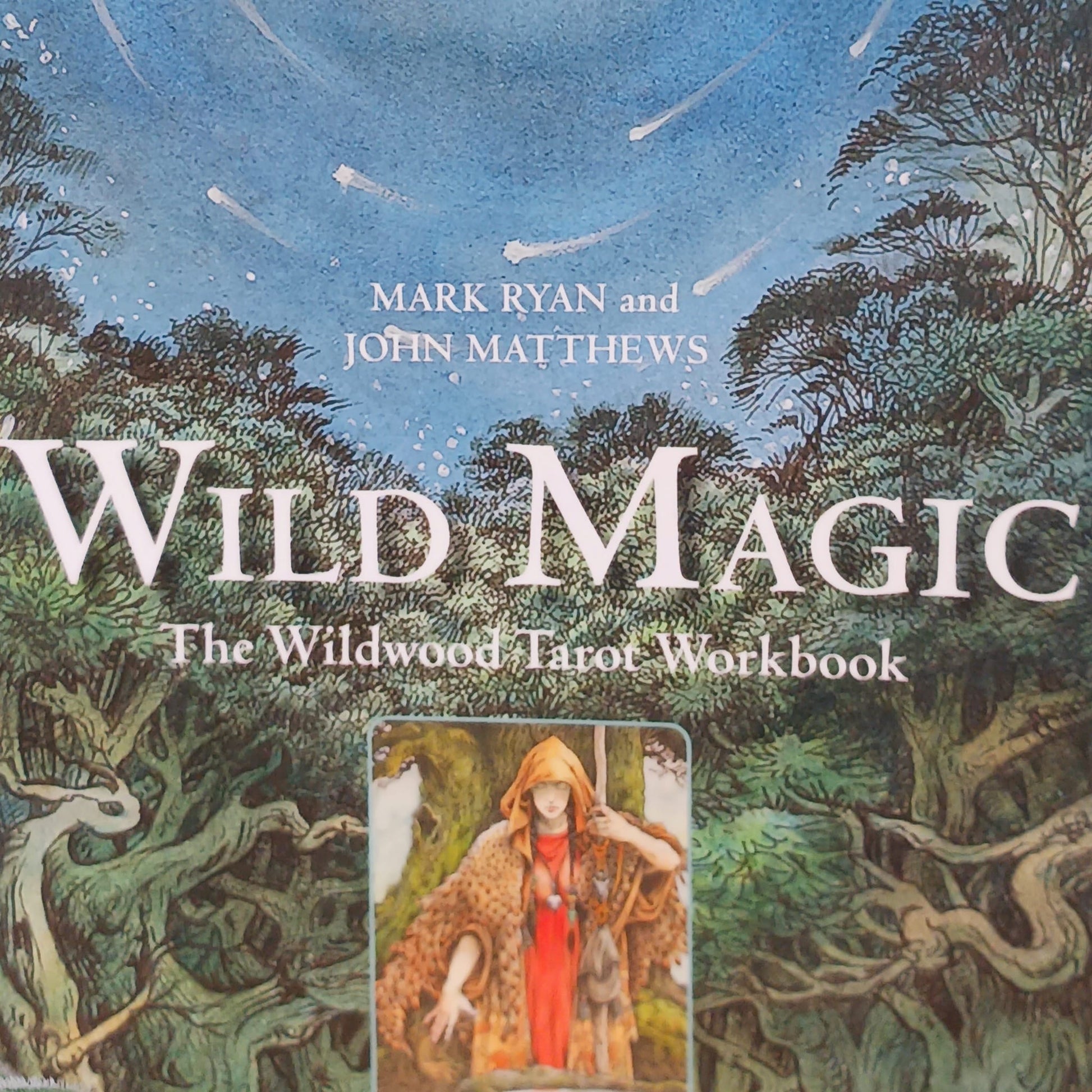 Wild Magic | The Wildwood Tarot Workbook