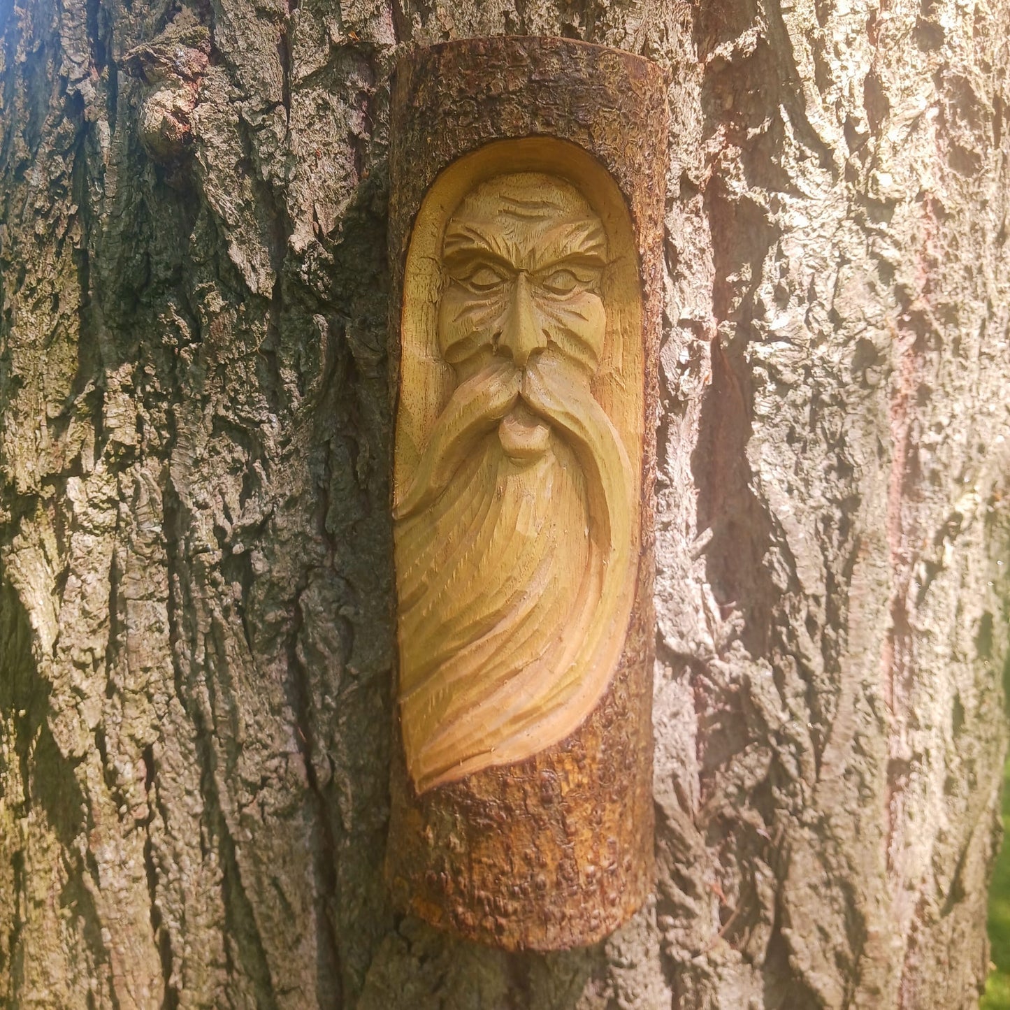 Tree Spirit Man of the Wood | Wood Carving